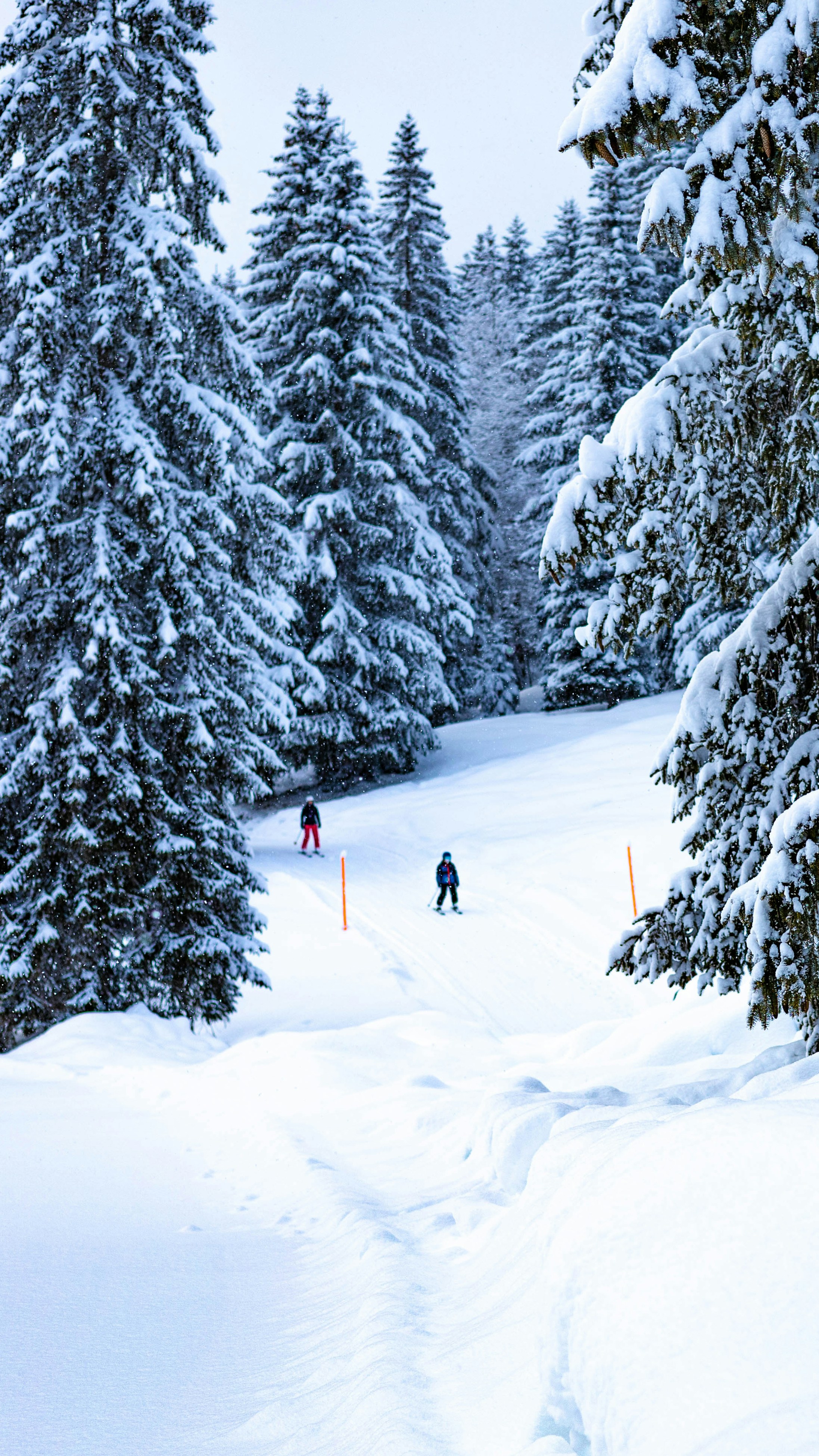 Photo by doeringphotograpy