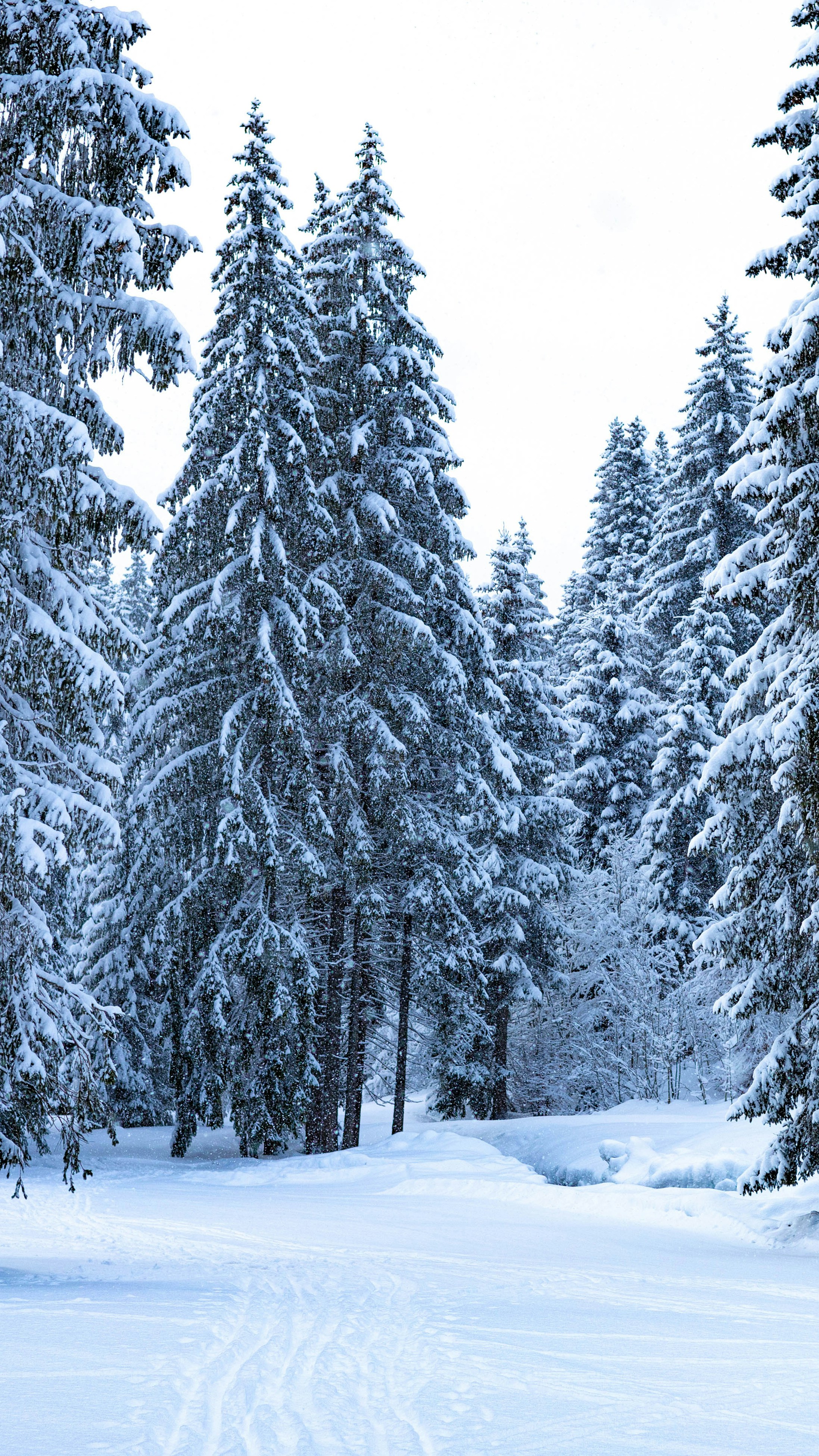 Photo by doeringphotograpy