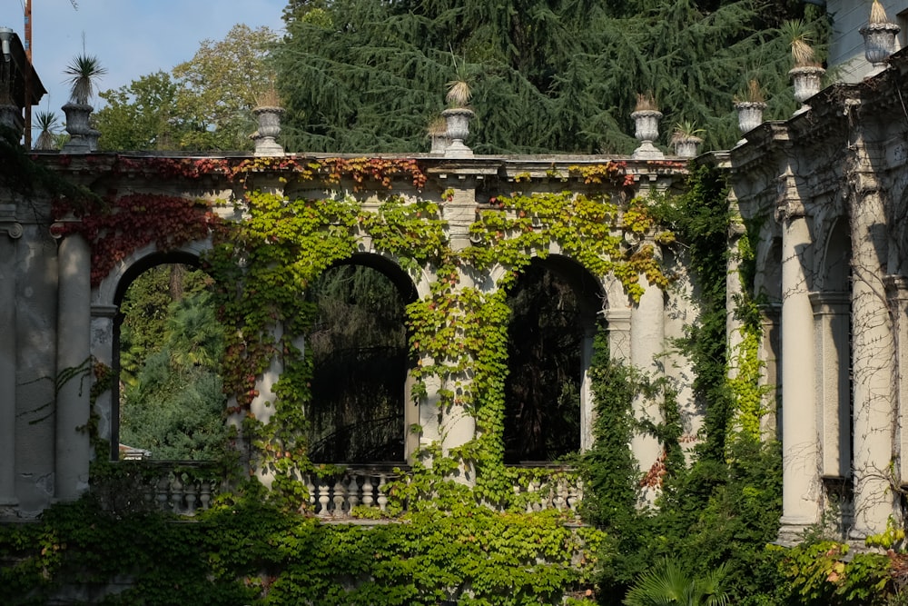 an old building covered in vines and vines