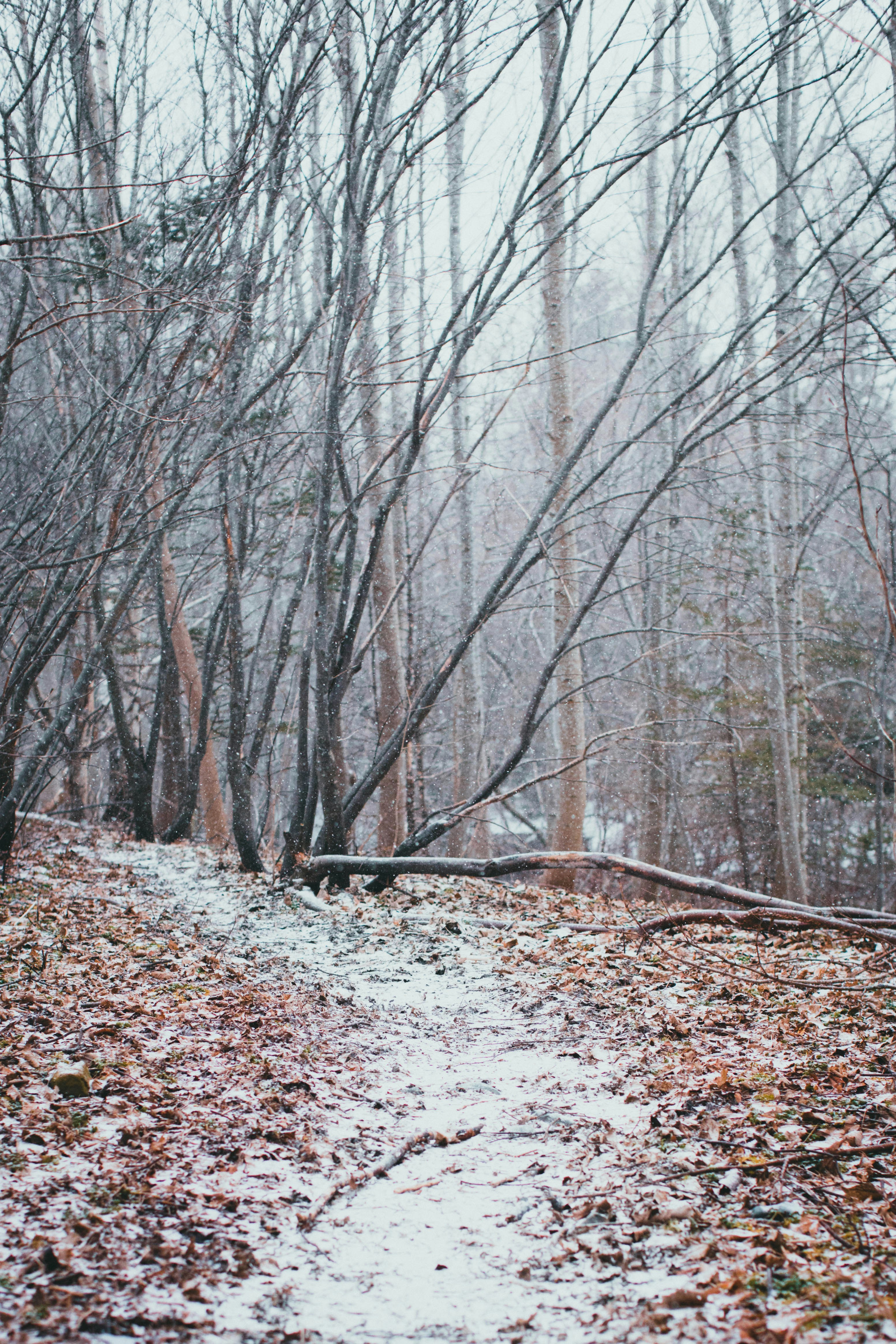 Photo by theshuttervision