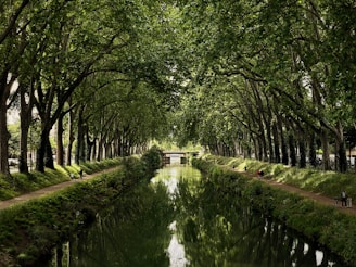 The canal du Midi