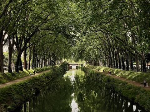 The canal du Midi