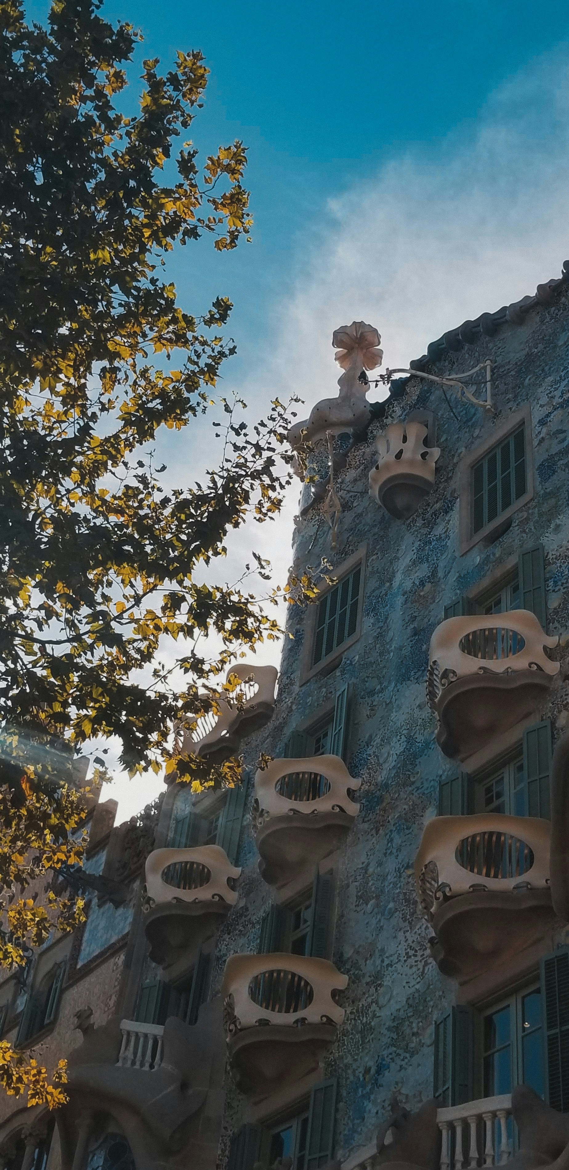 Unsplashで見つけるカサ バトリョの無料写真