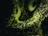 A mesmerizing pattern of glowing green particles radiates against a dark background, creating a swirling luminous effect reminiscent of cosmic or underwater phenomena.