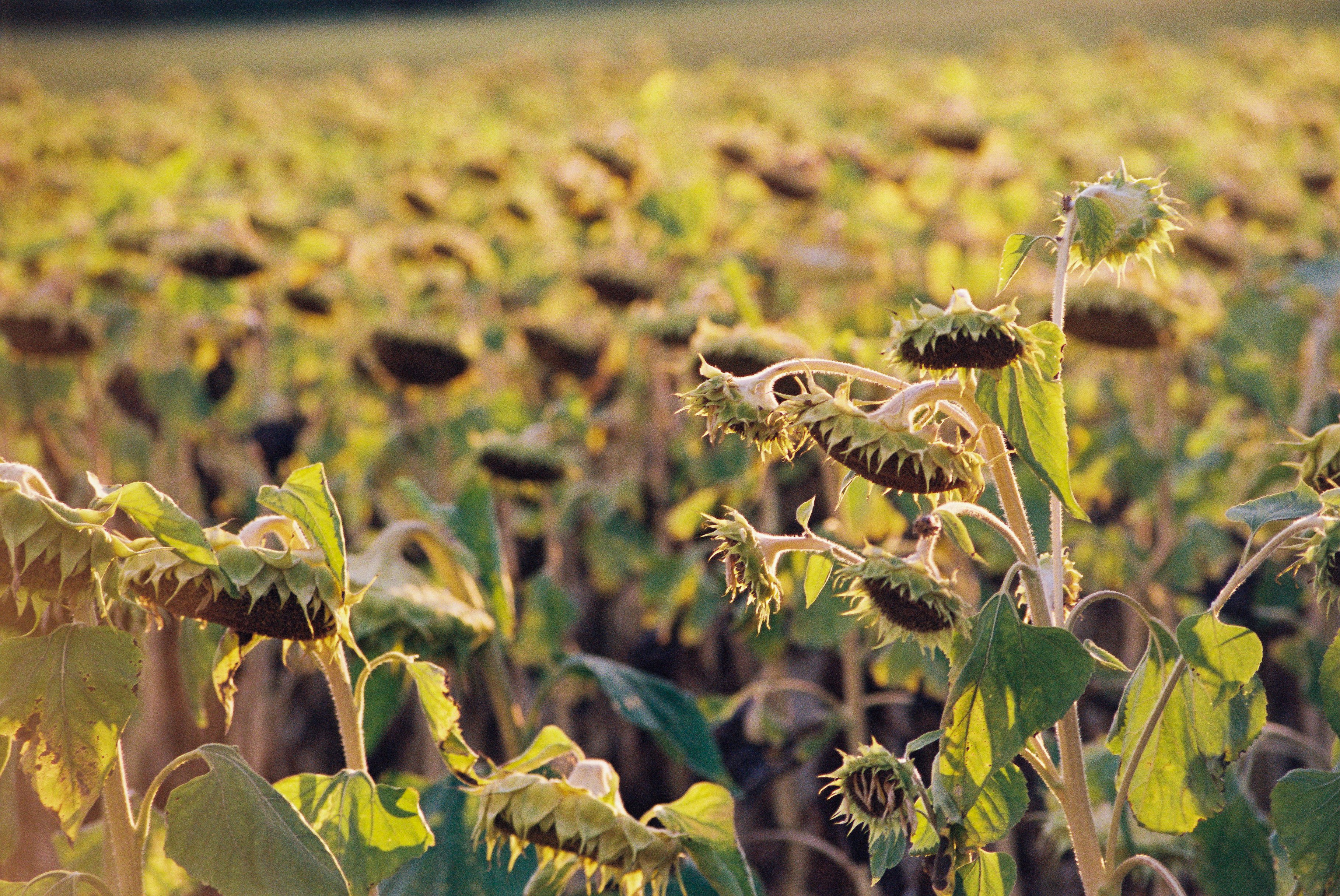 Photo by juliabarbour