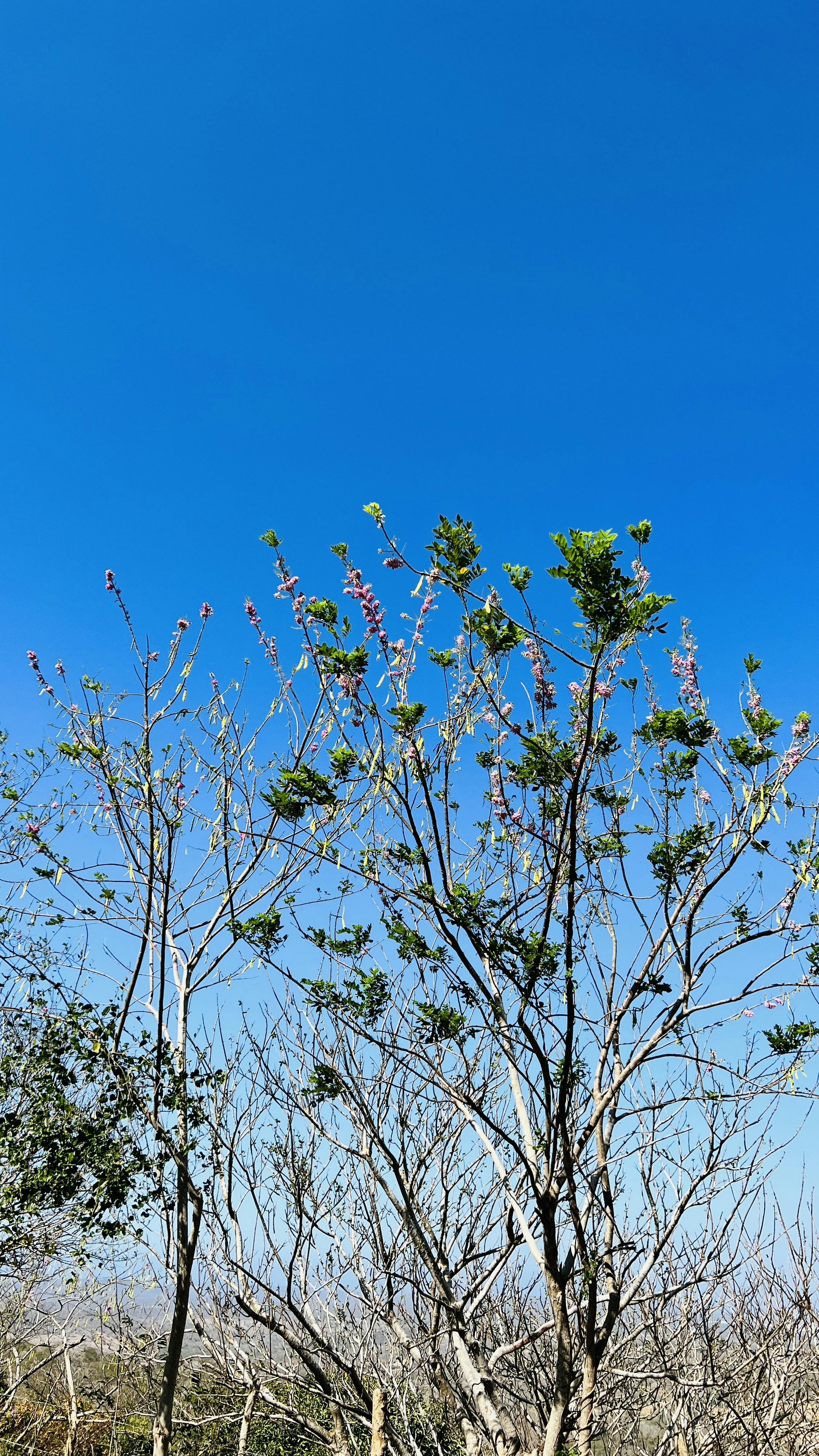 Photo by daniloconsuegra