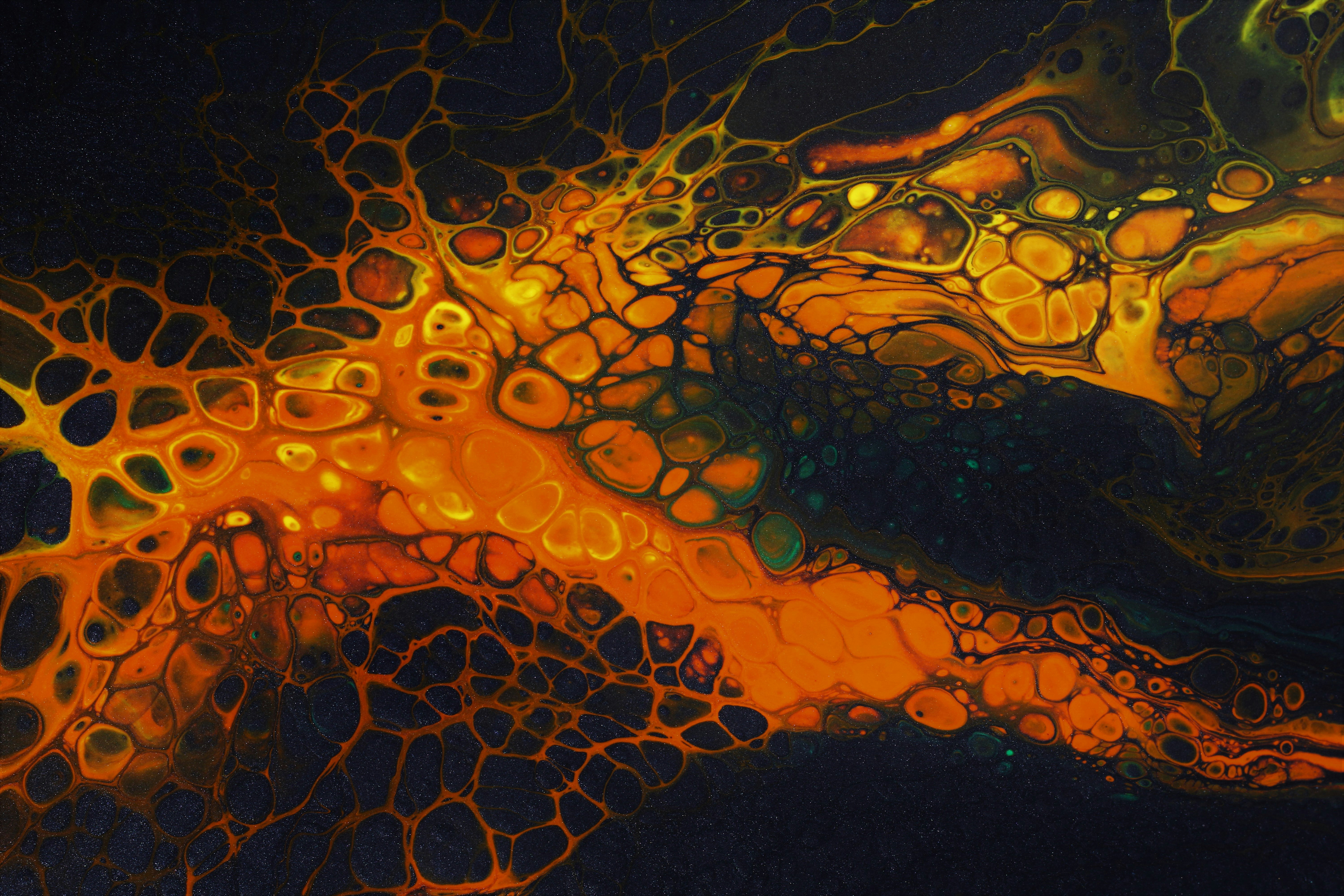 Photo by susan_wilkinson