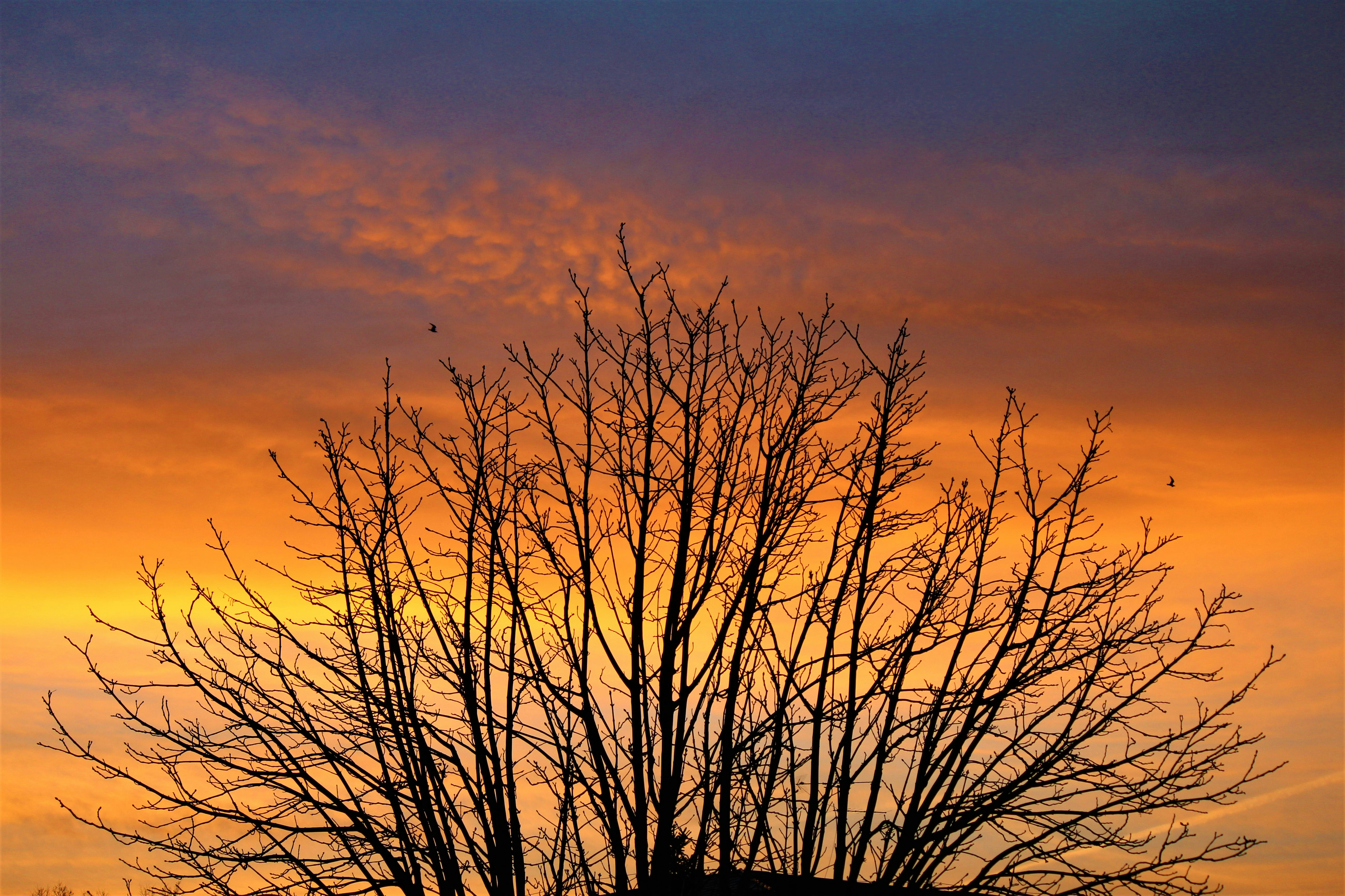 Photo by haim_charbit18