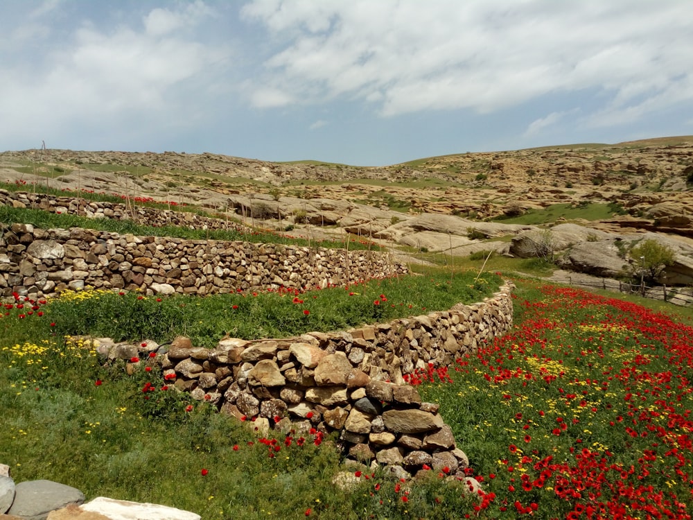 a stone wall surrounded by flowers and rocks