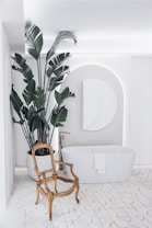 A modern bathroom with a large white bathtub, an ornate vintage chair, and a tall potted plant with large green leaves. The room features a geometric wall decoration above the bathtub and a soft, indirect lighting setup.