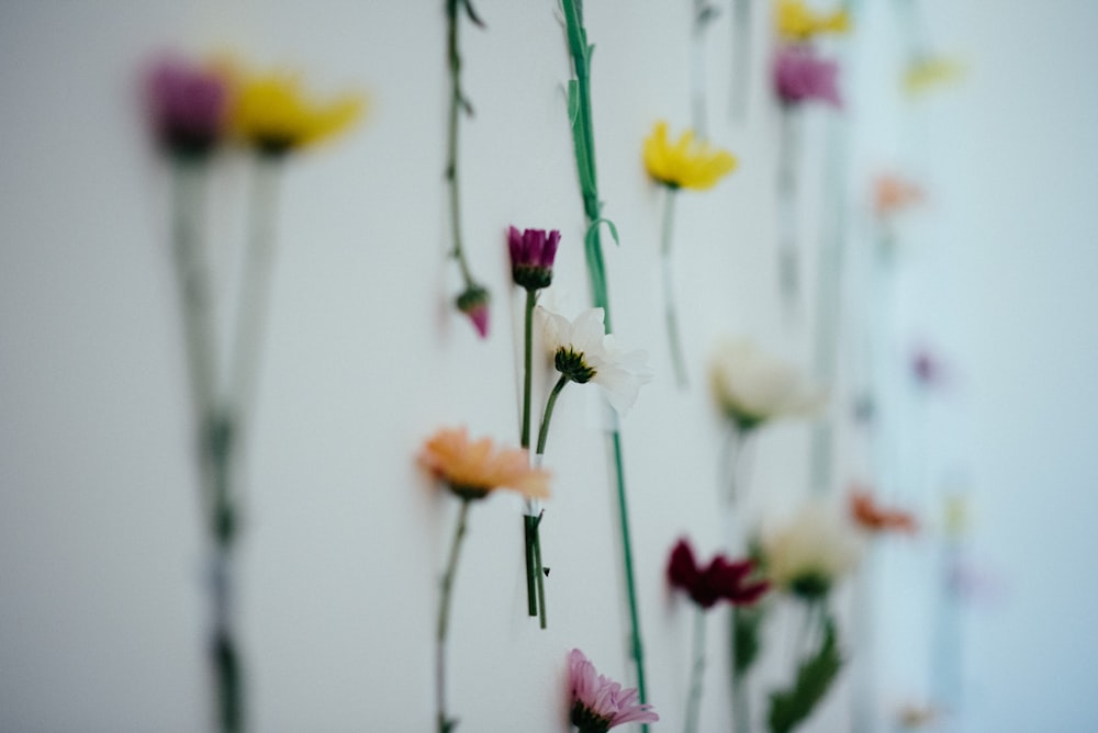 a bunch of flowers that are on a wall