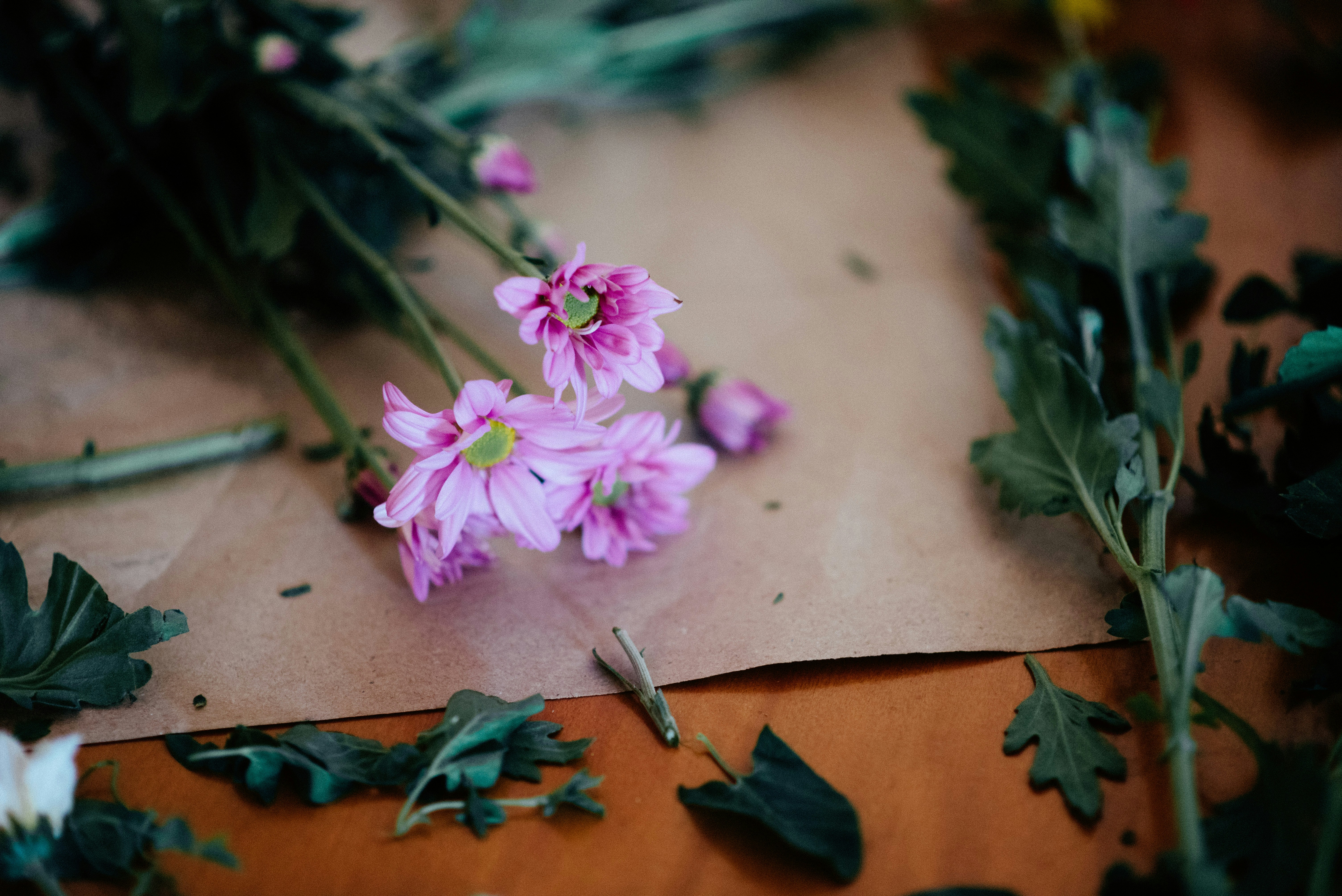 Floristikpapier wird um eine Blüte gefaltet