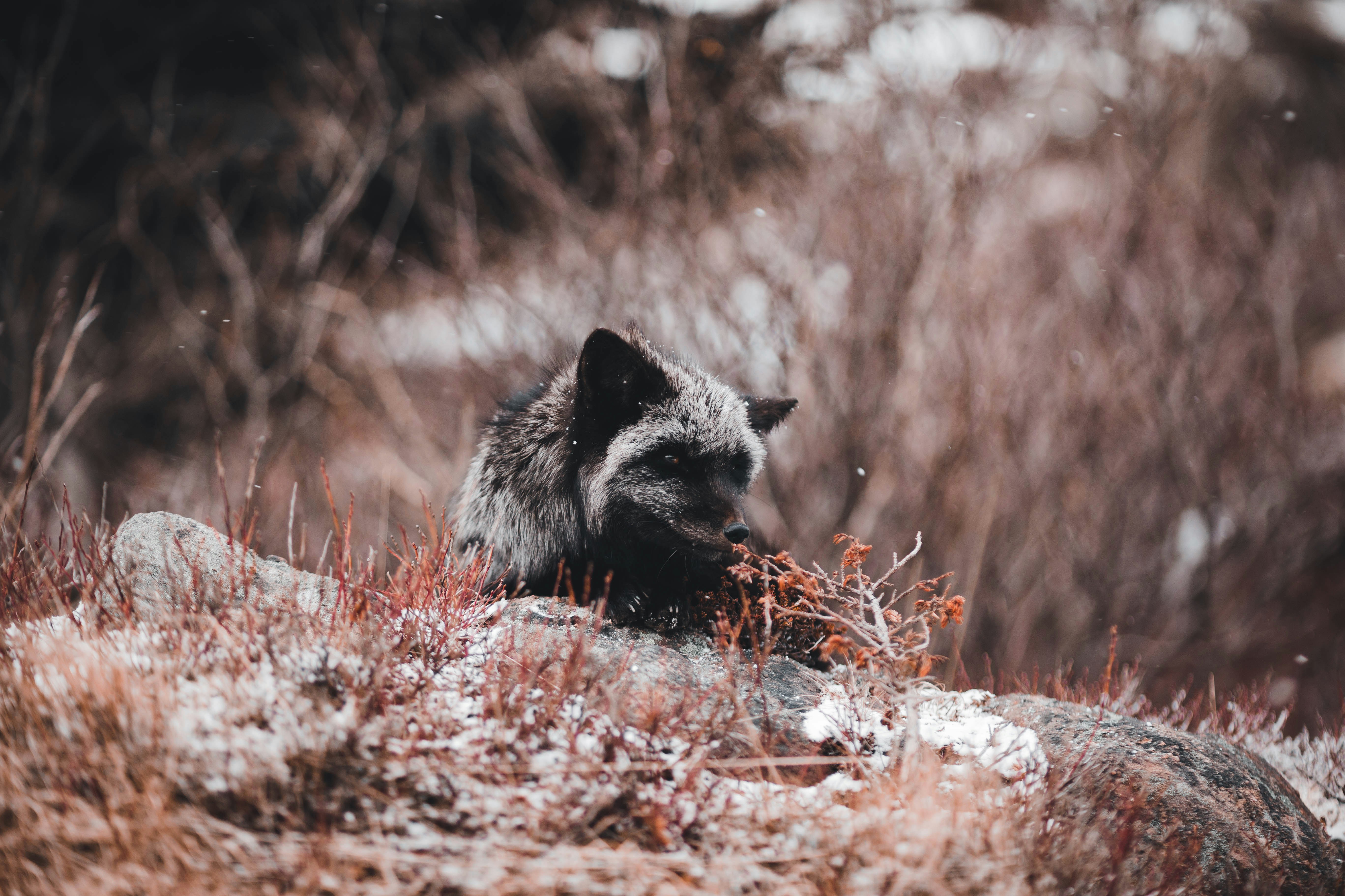 Photo by introspectivedsgn