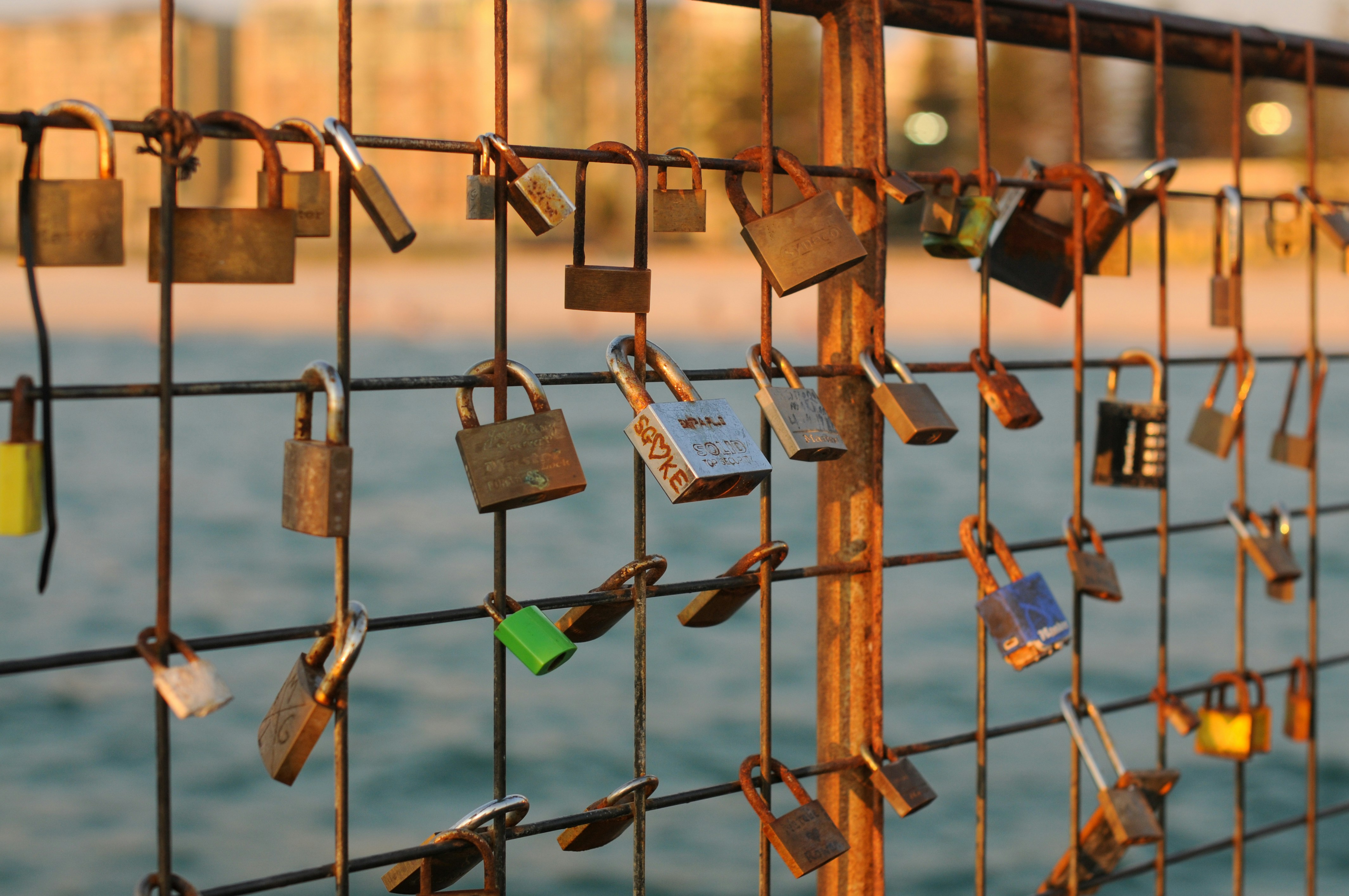 a bunch of padlocks are attached to a fence