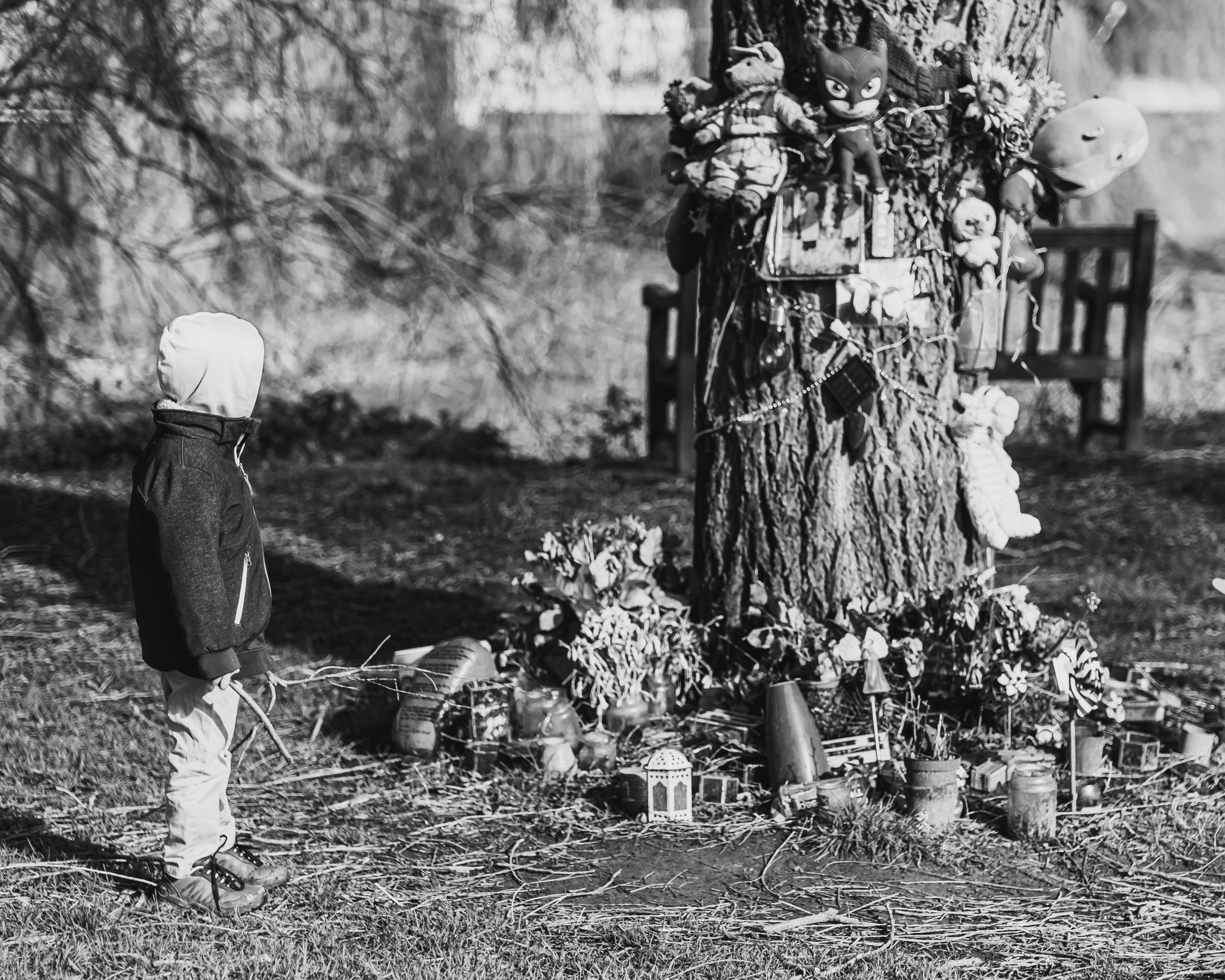 a little boy standing in front of a tree