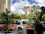 A beautiful outdoor space with stylish furniture and greenery.