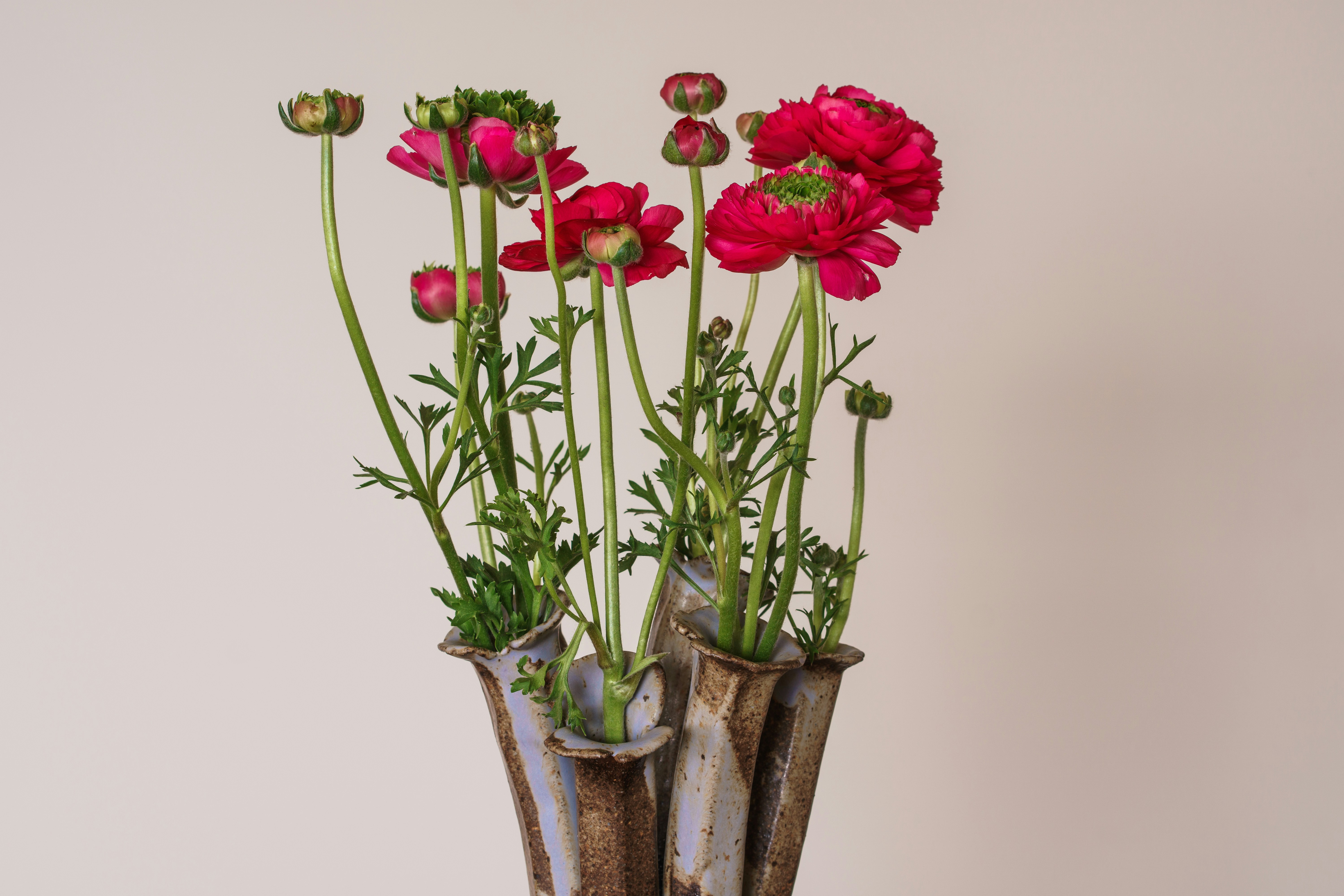 Photo by earl_plannerzone