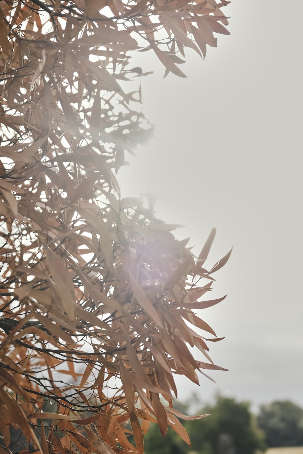 a bird is perched on a tree branch