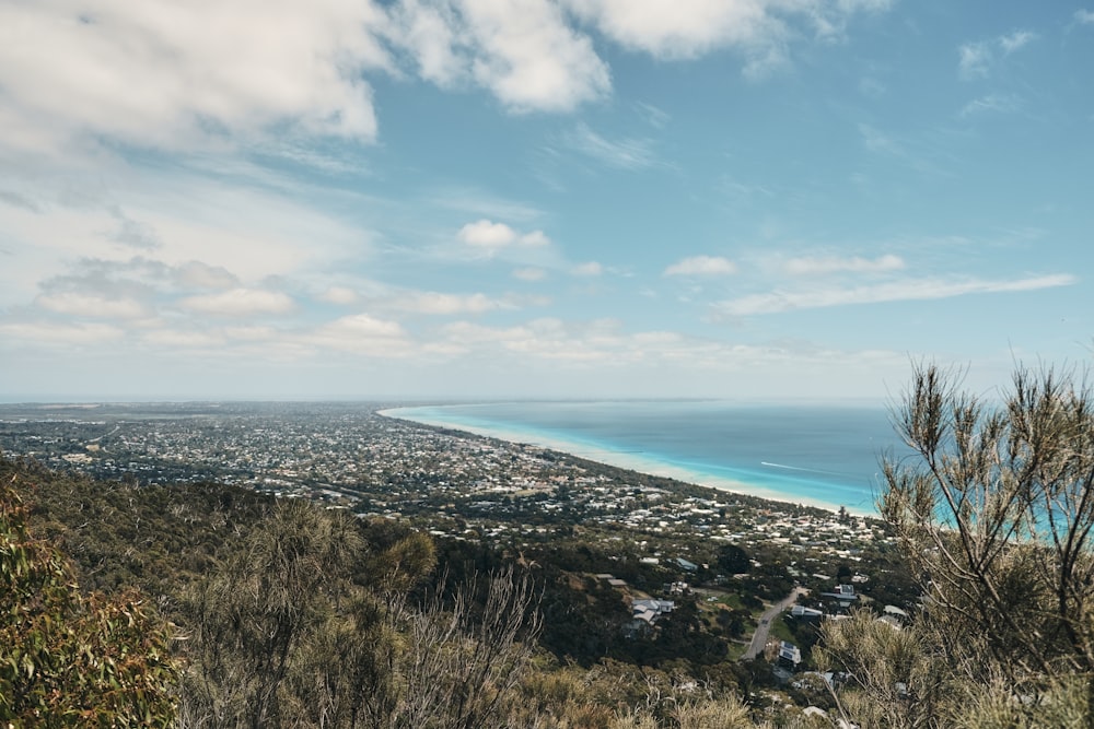 a view of the ocean from a hill