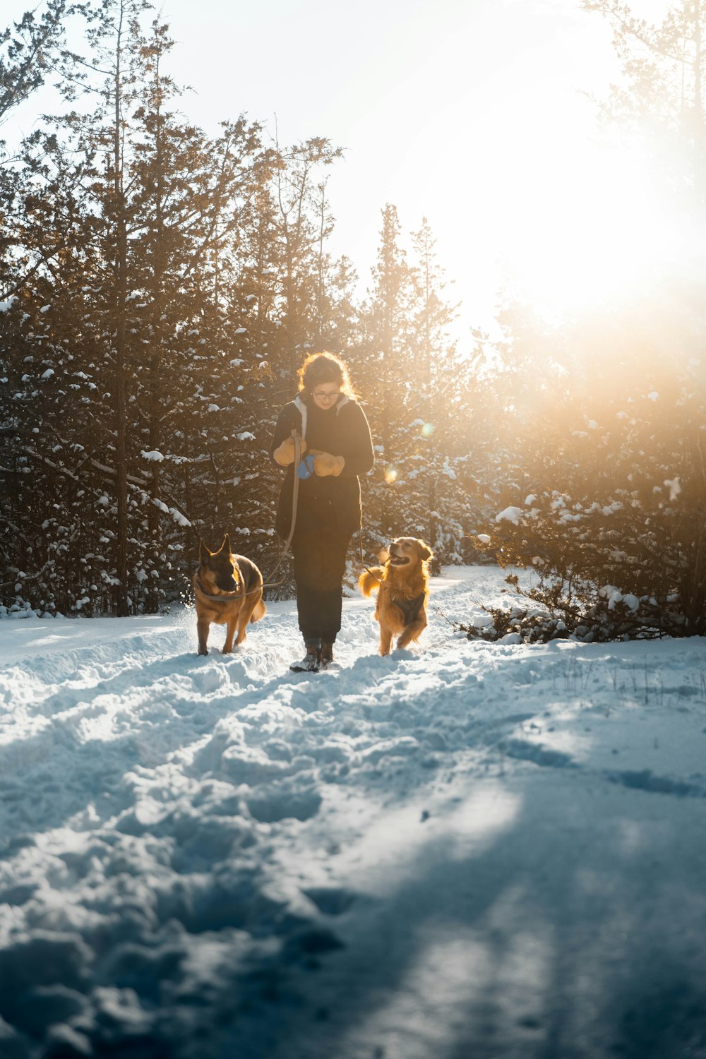 a woman walking two dogs in the snow