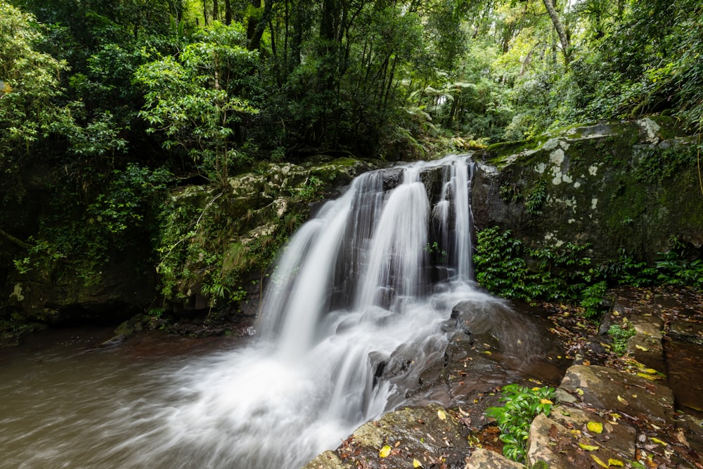 a small waterfall in the middle of a forest