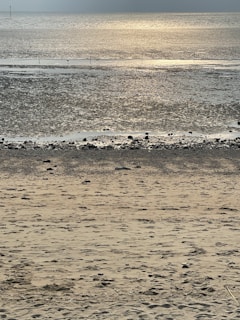 The sparkling water meeting the sandy beach, perfect for a relaxing day by the river and sea.