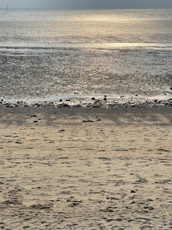 The sparkling water meeting the sandy beach, perfect for a relaxing day by the river and sea.