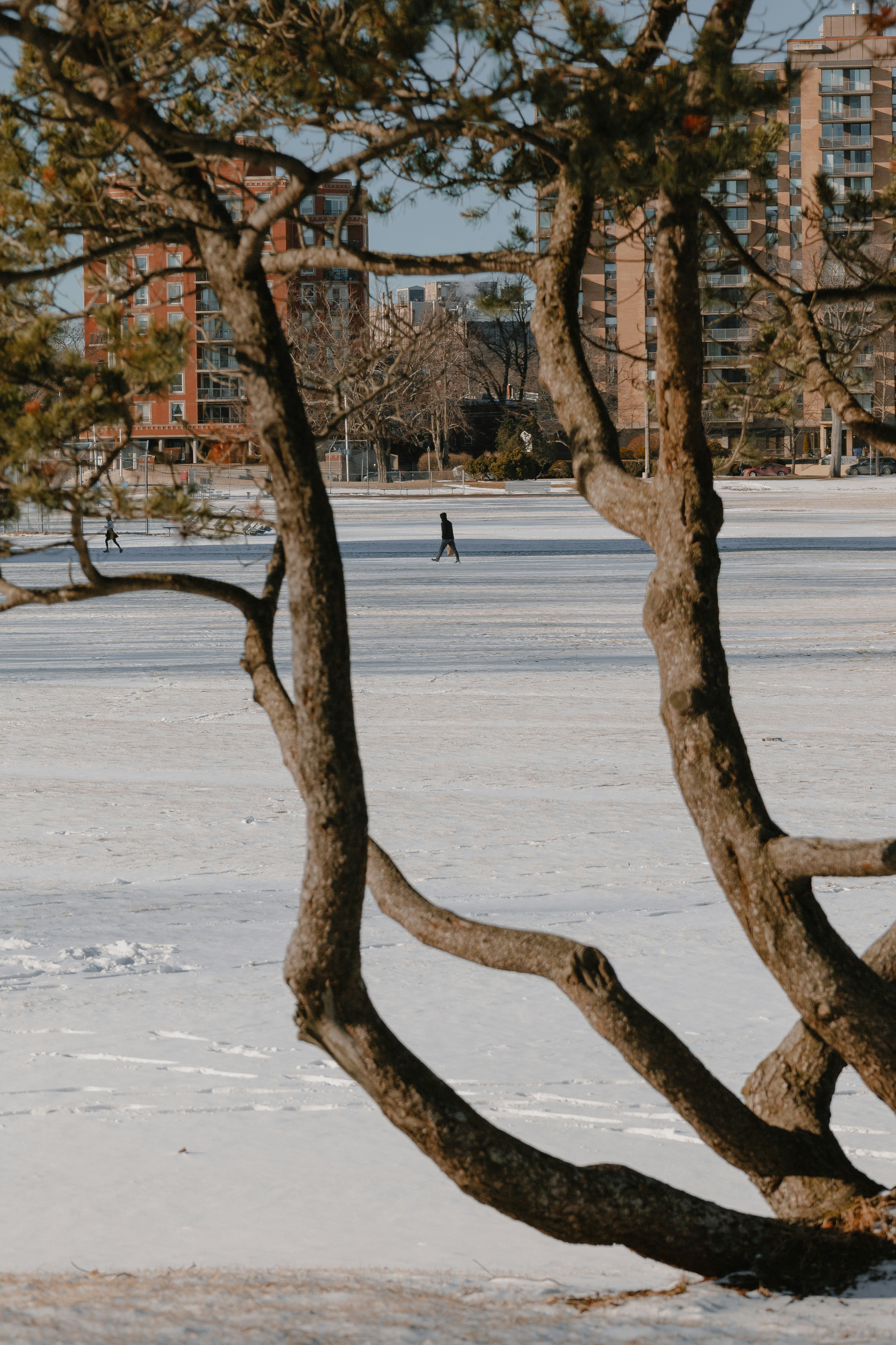 Photo by janwalterluigi