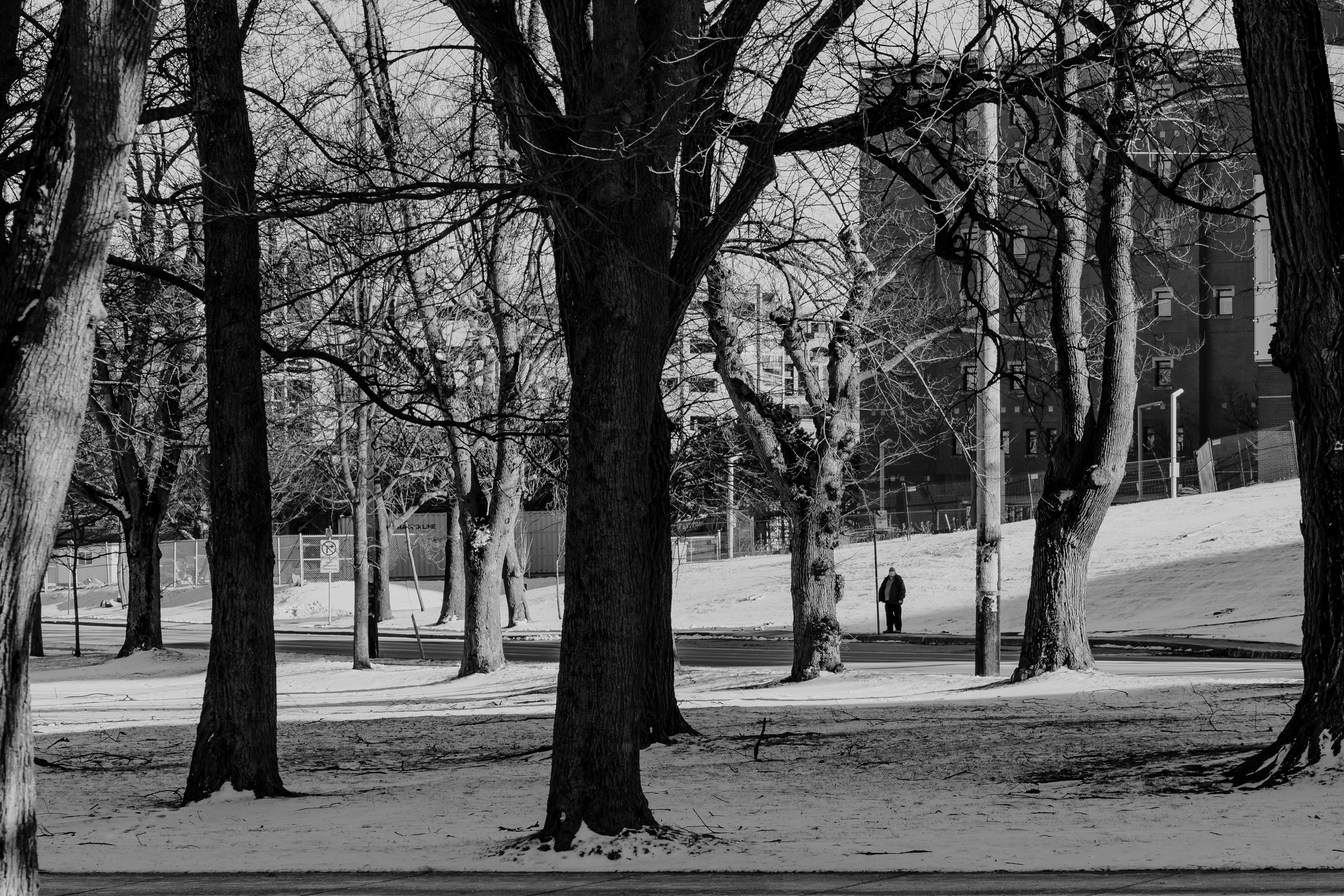 Photo by janwalterluigi