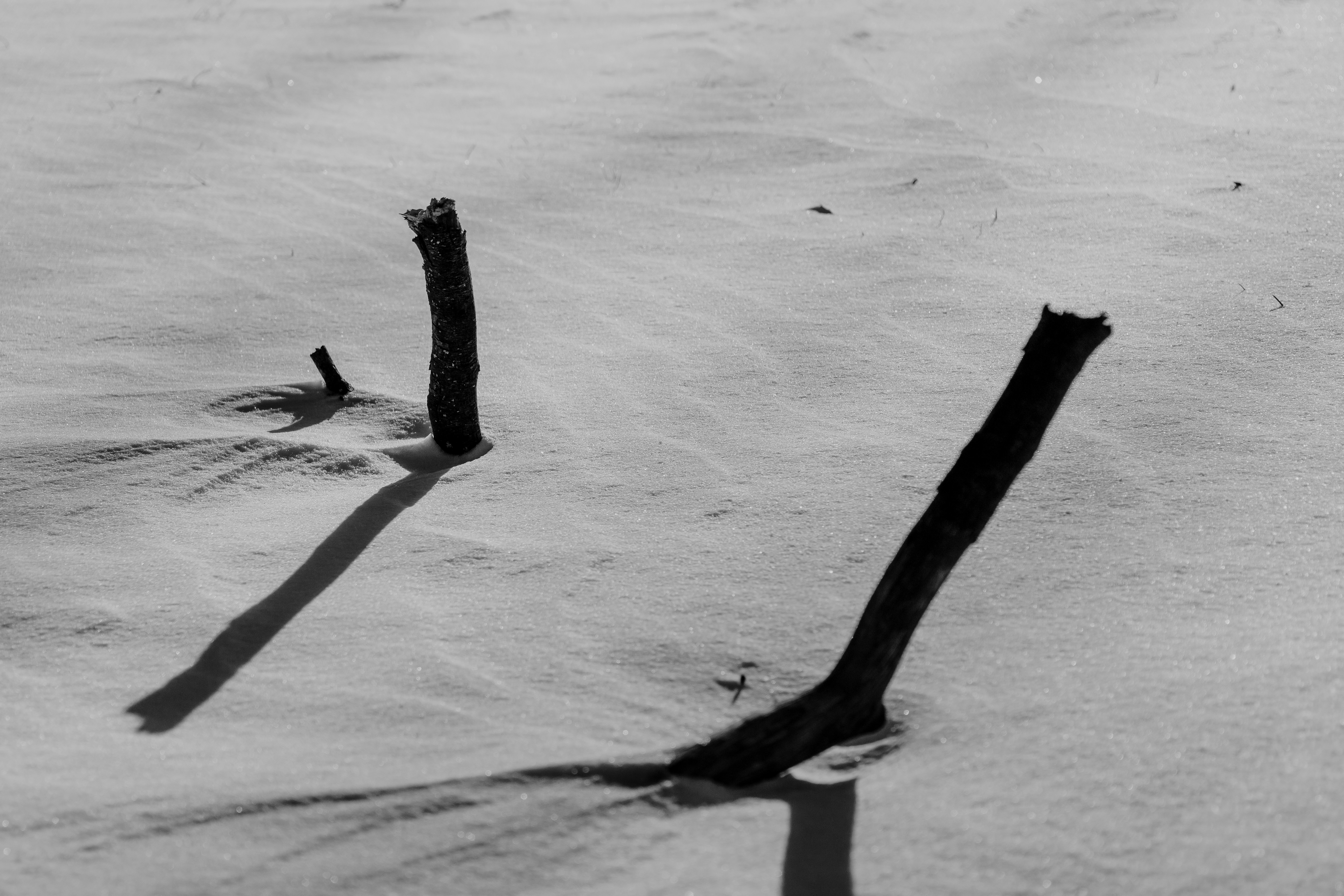 Photo by janwalterluigi