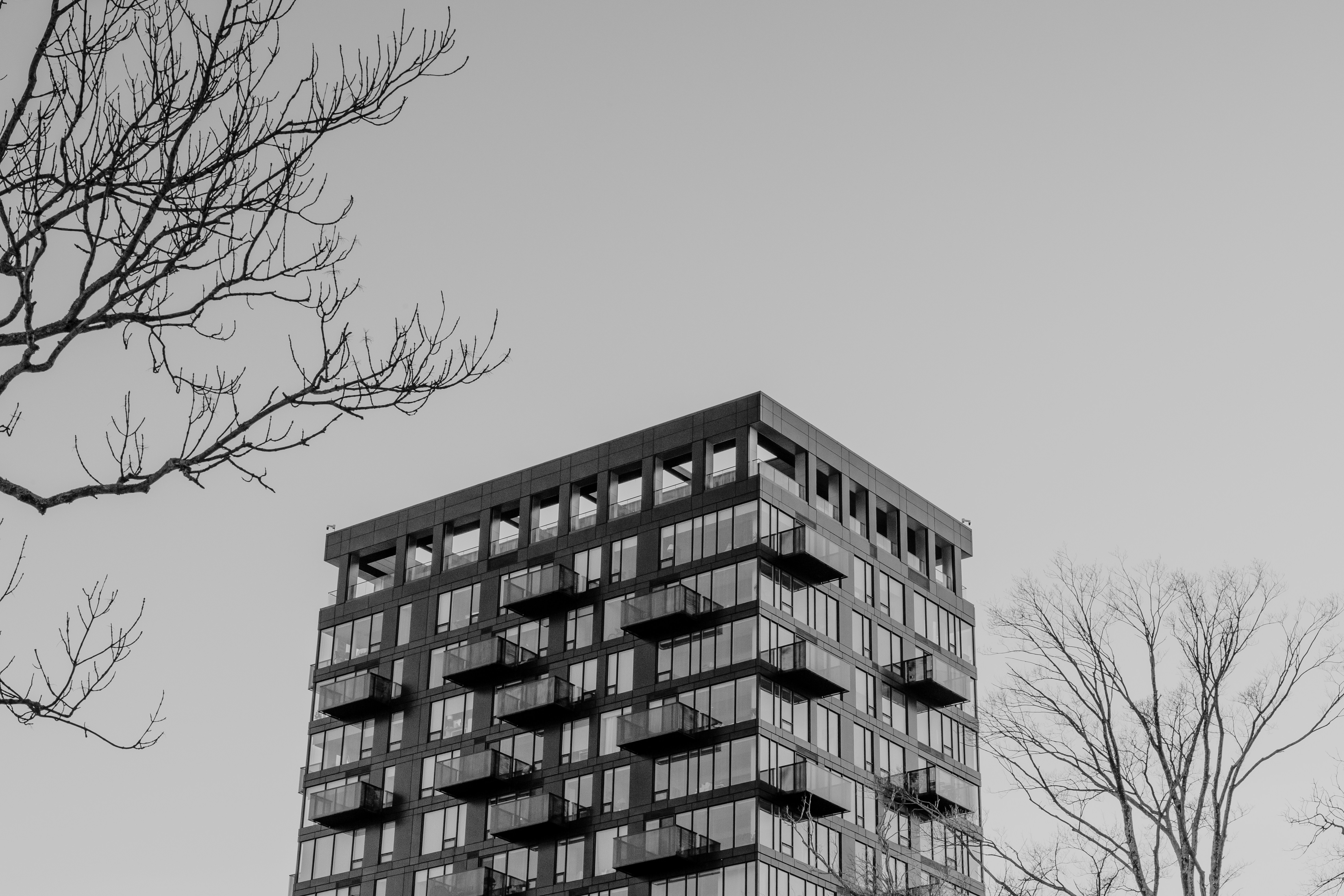 Photo by janwalterluigi