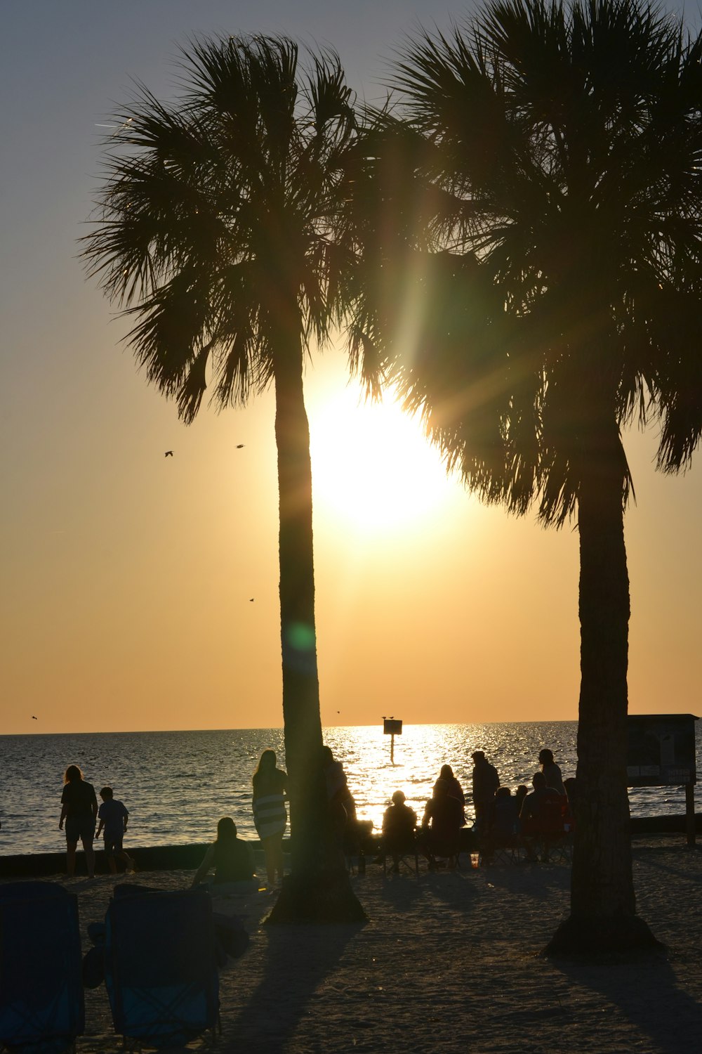 a couple of palm trees sitting on top of a beach