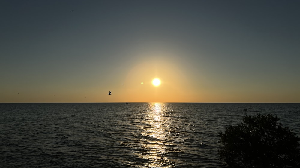 the sun is setting over the ocean with a bird flying in the distance