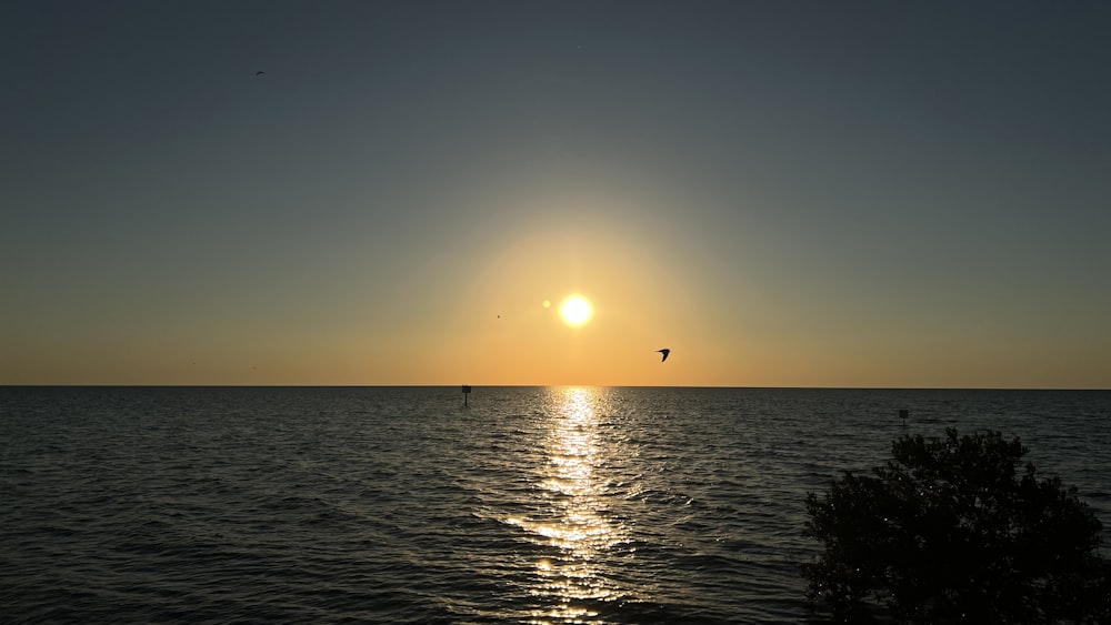 the sun is setting over the ocean with a bird flying in the distance