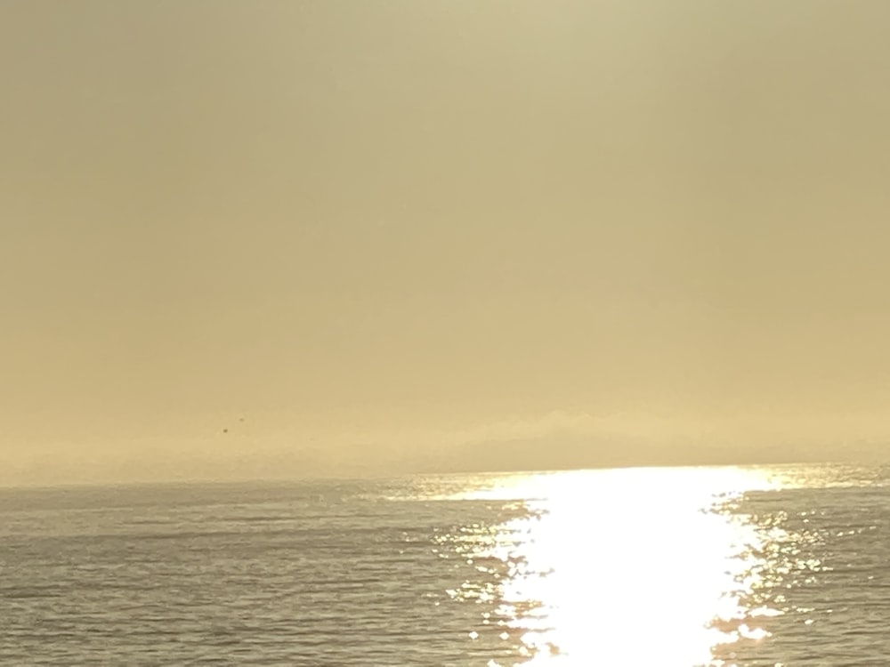 a person riding a surfboard on a body of water