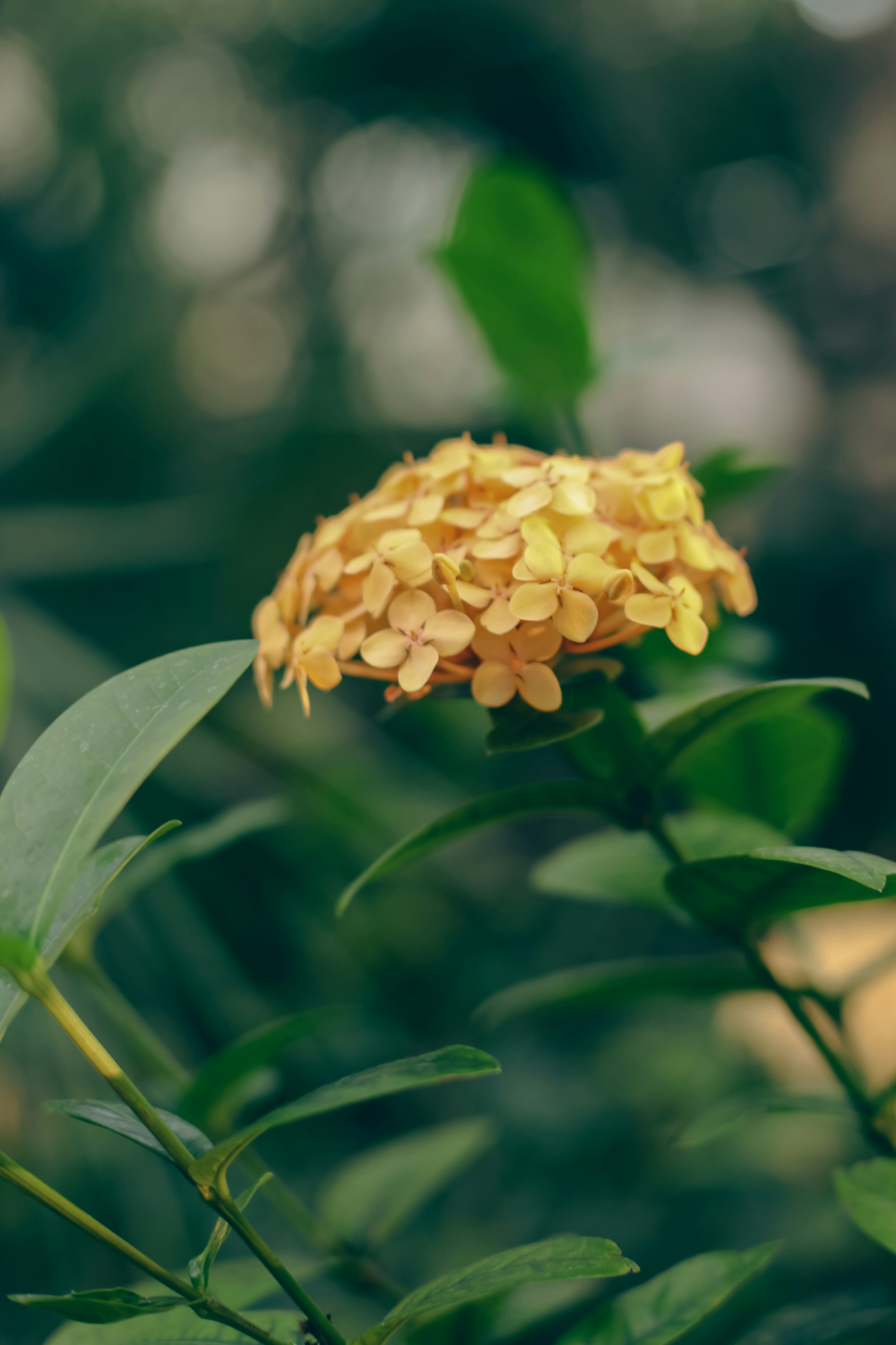 Photo by lizarusalskaya