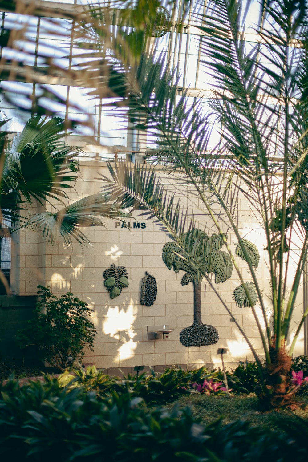 a white tiled wall with a palm tree in the corner