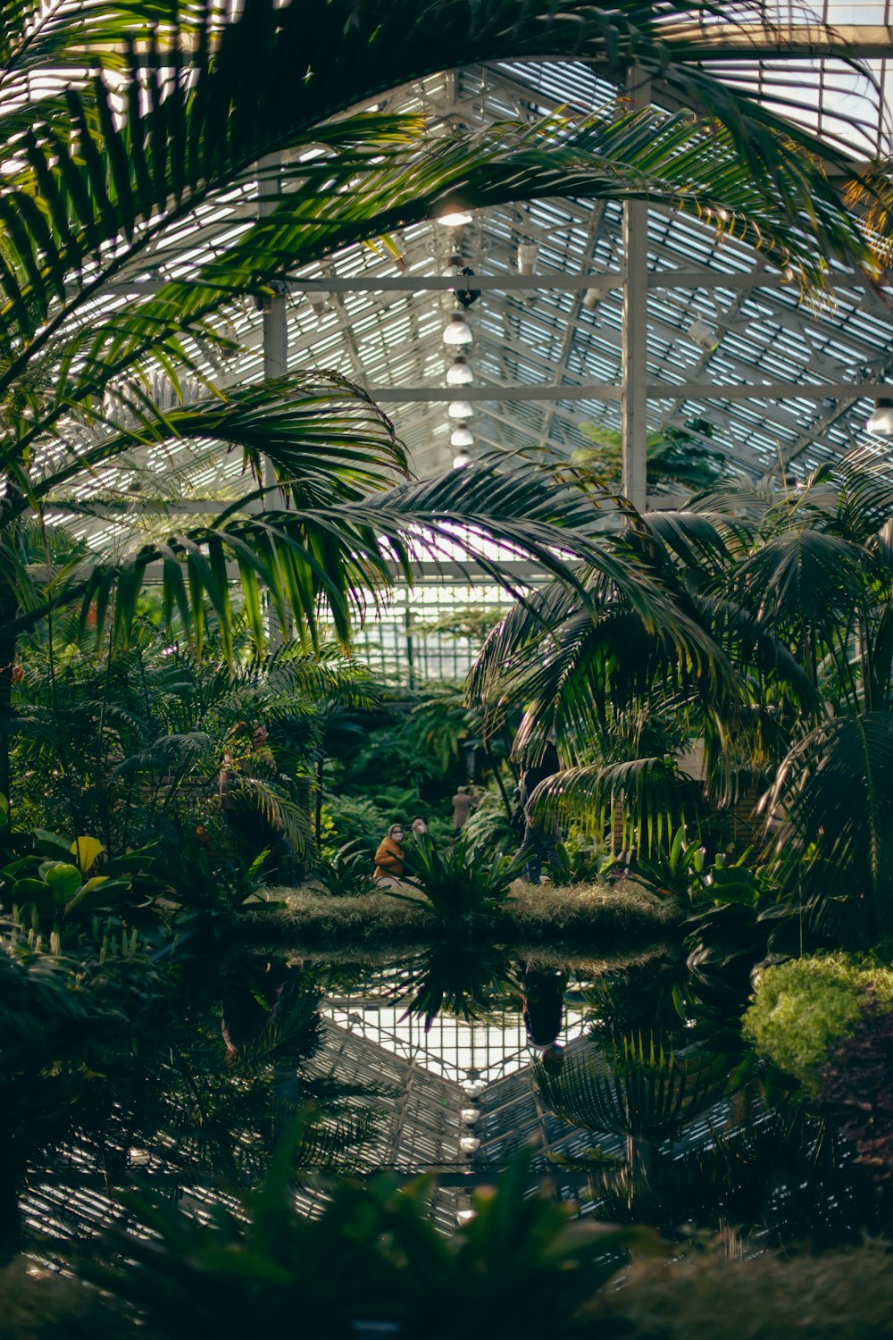 the inside of a greenhouse with lots of trees and plants