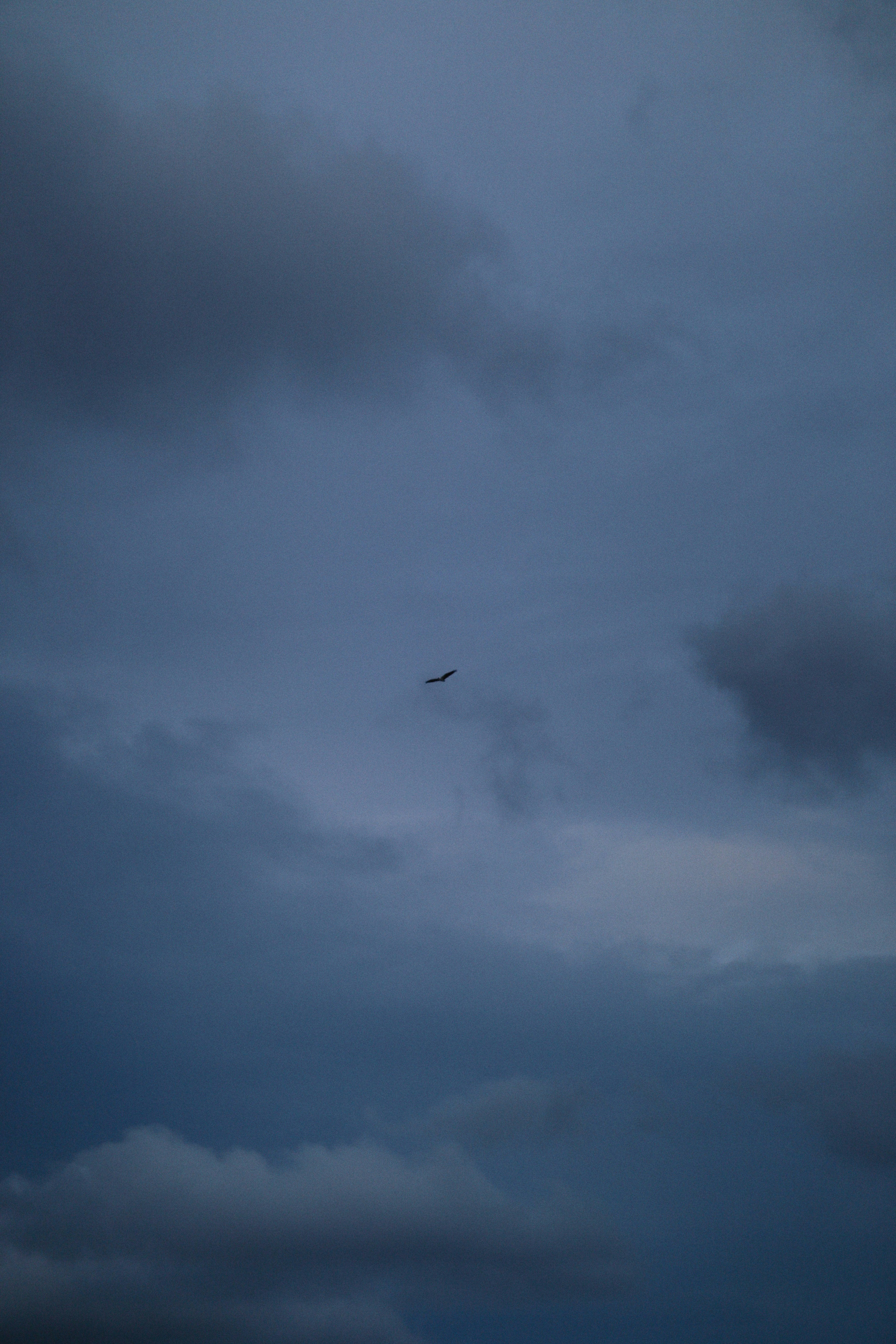 Photo by alexeydemidov