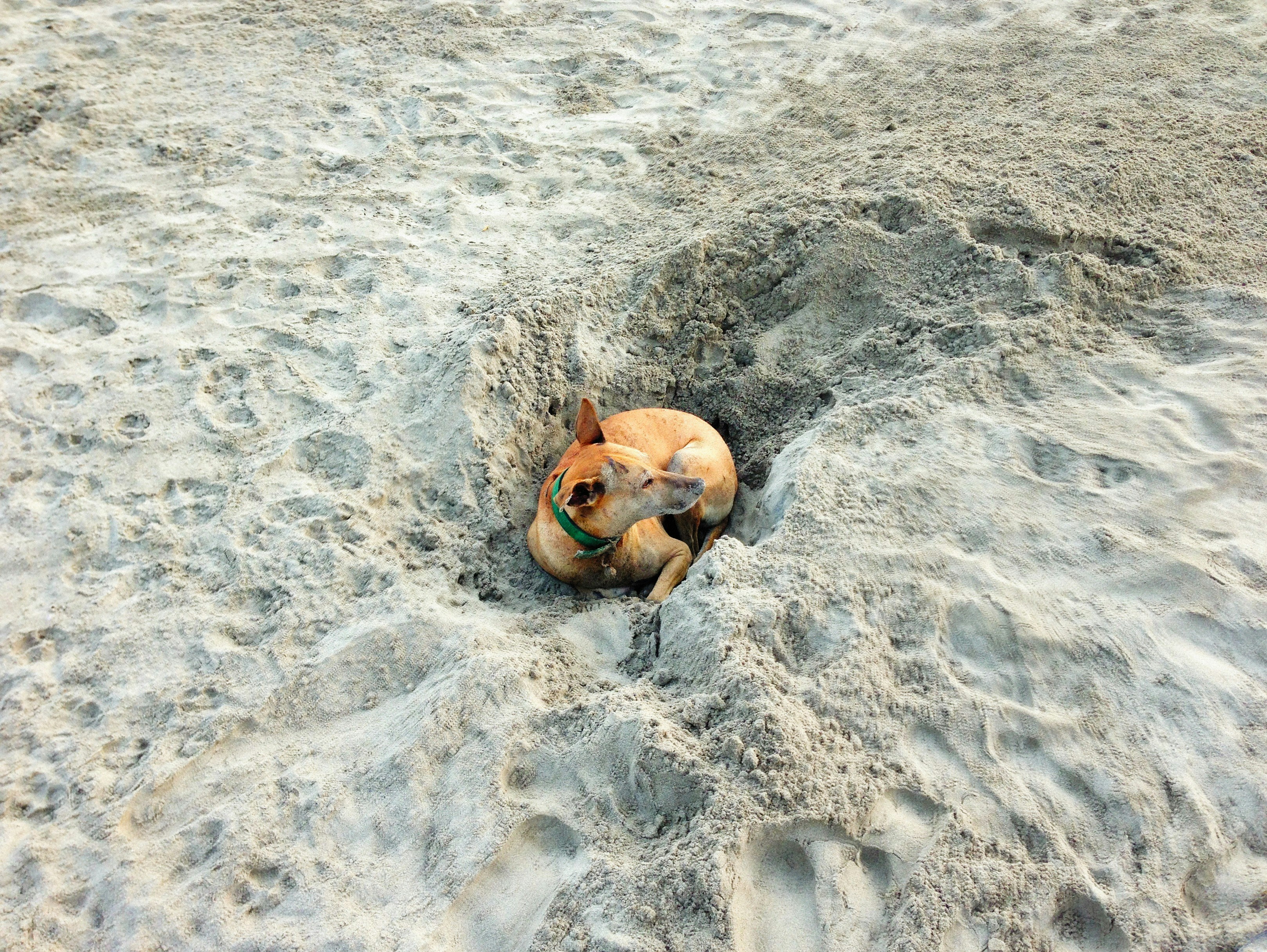 Photo by alexeydemidov