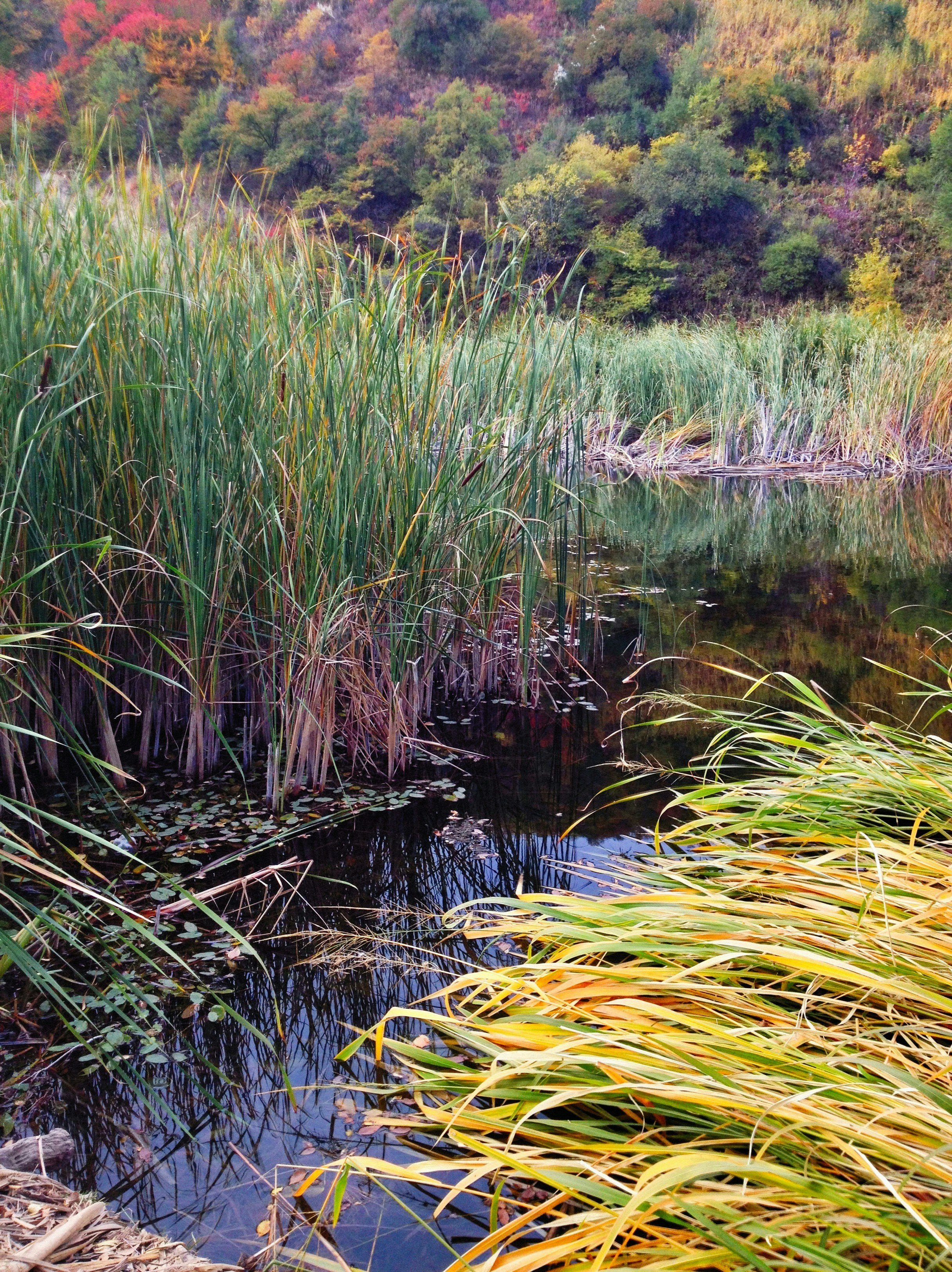 Photo by alexeydemidov