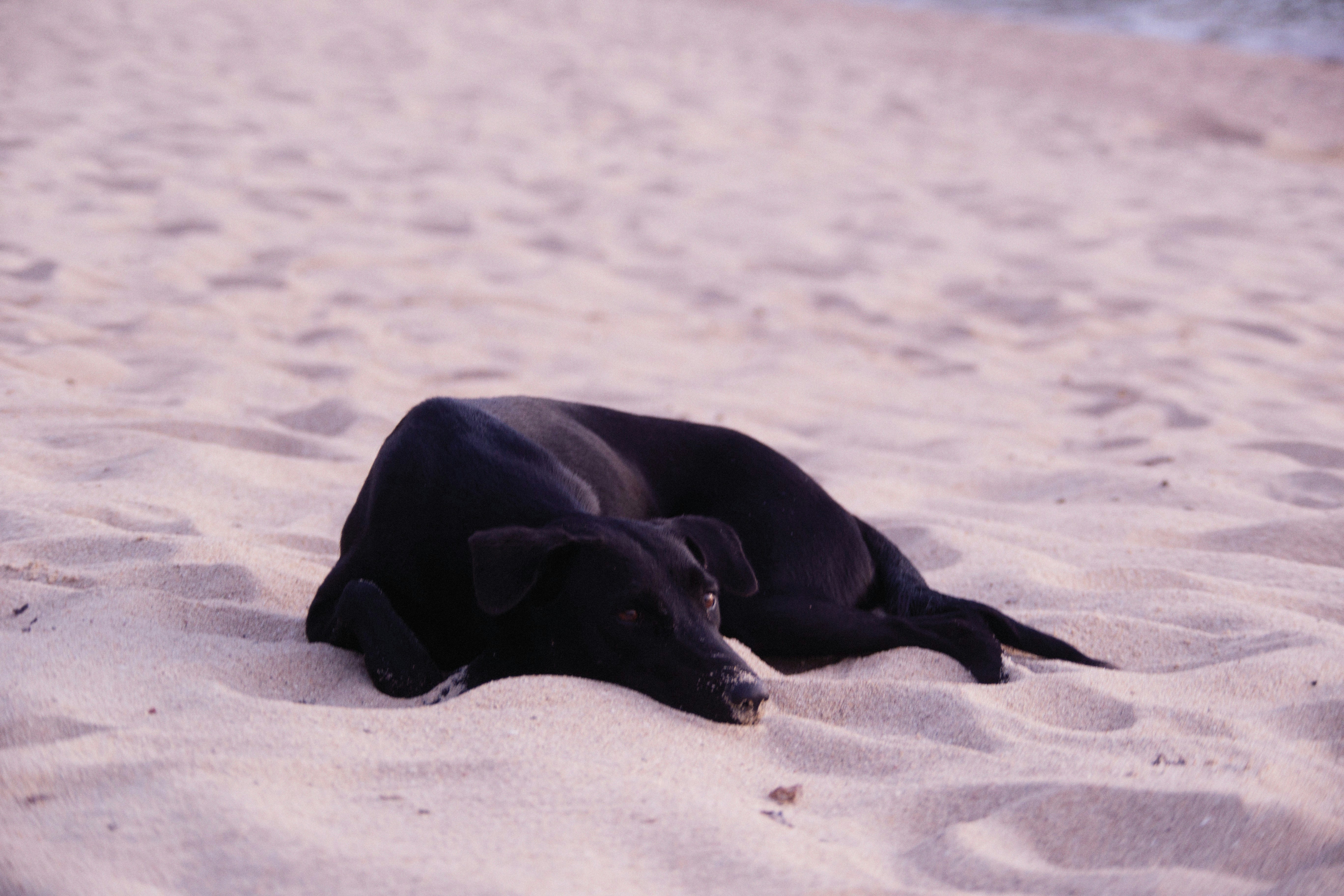 Signs of Joint Pain in Bedtime Behavior