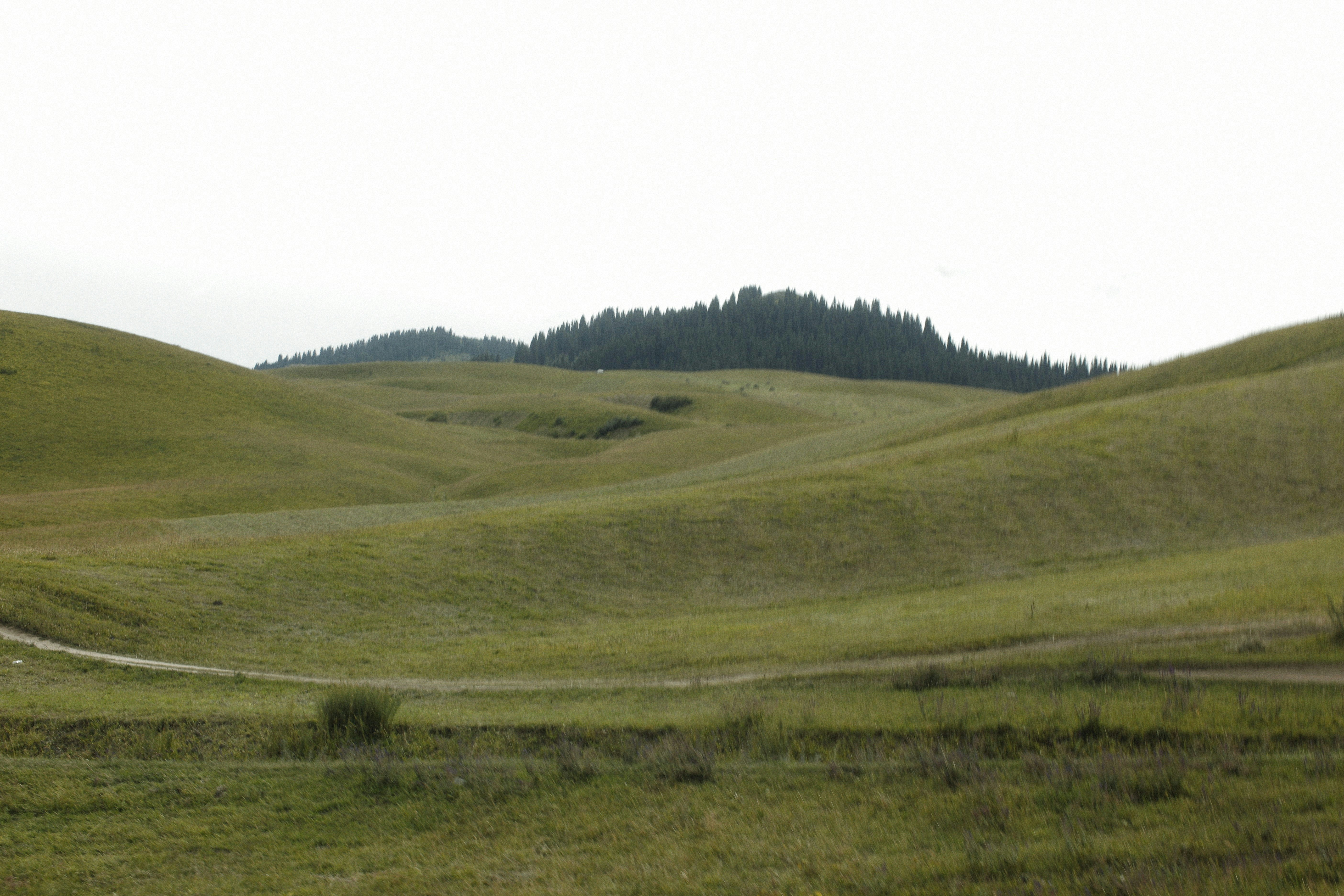 Photo by alexeydemidov