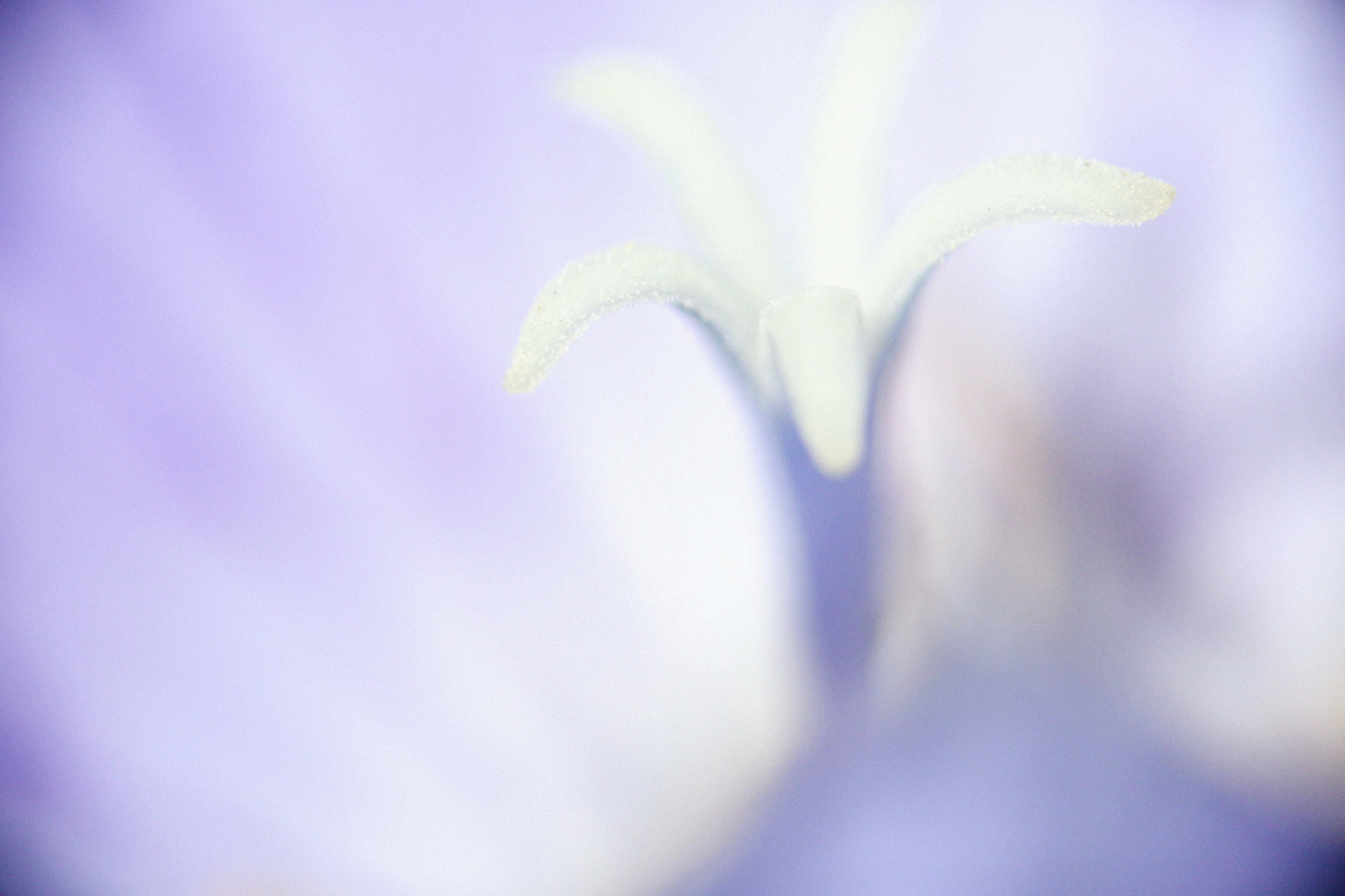 Photo by alexeydemidov