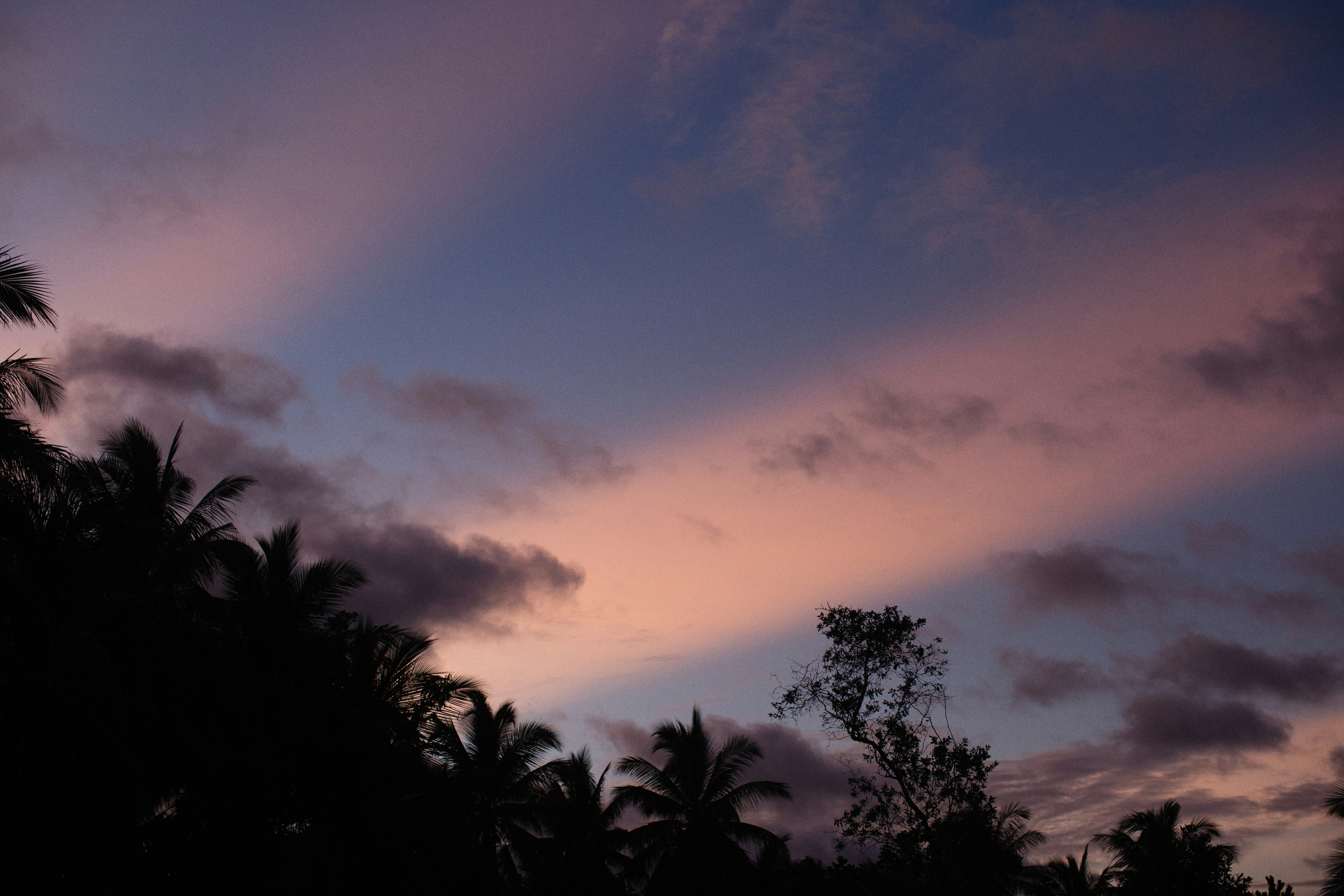 Photo by alexeydemidov