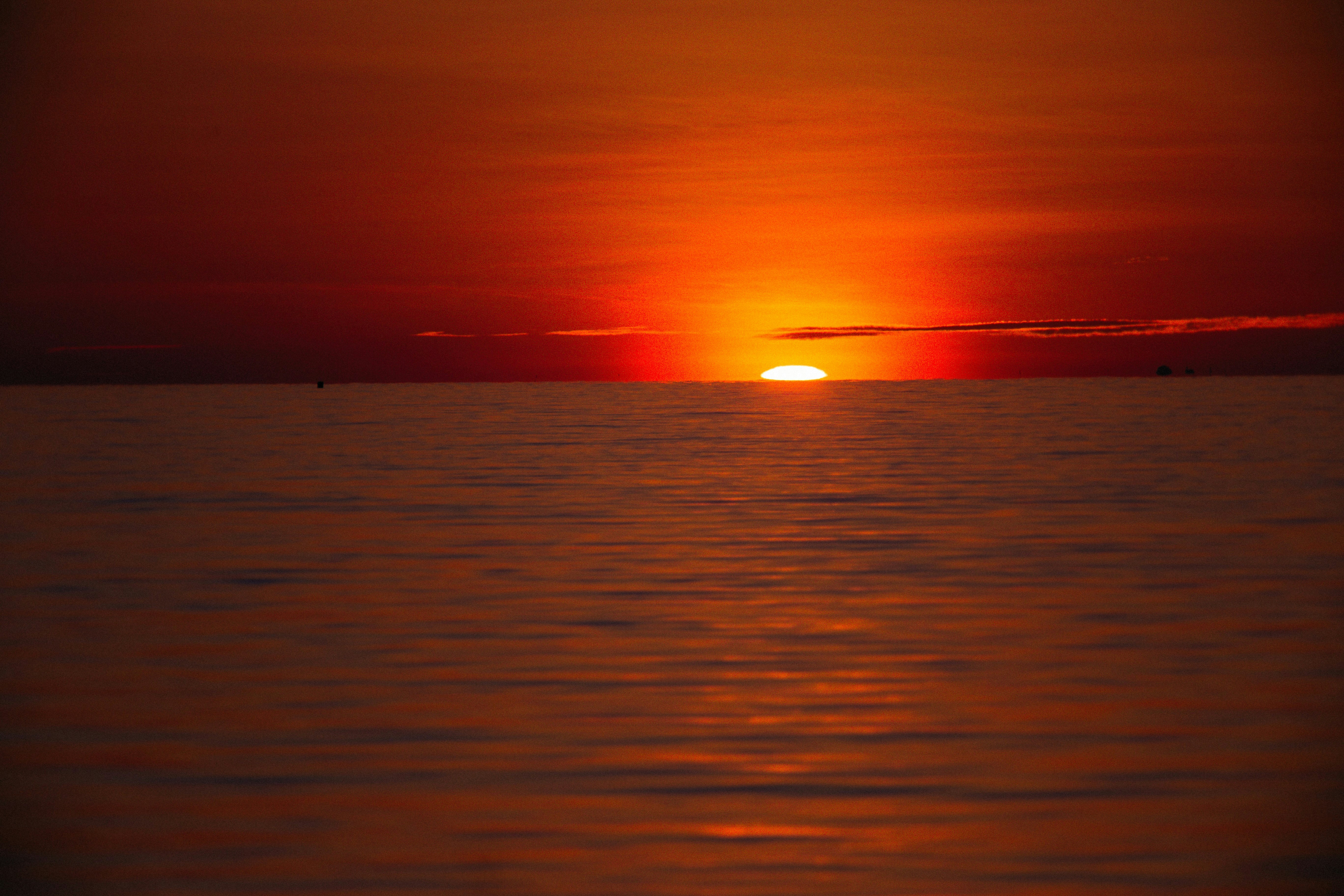 Photo by alexeydemidov