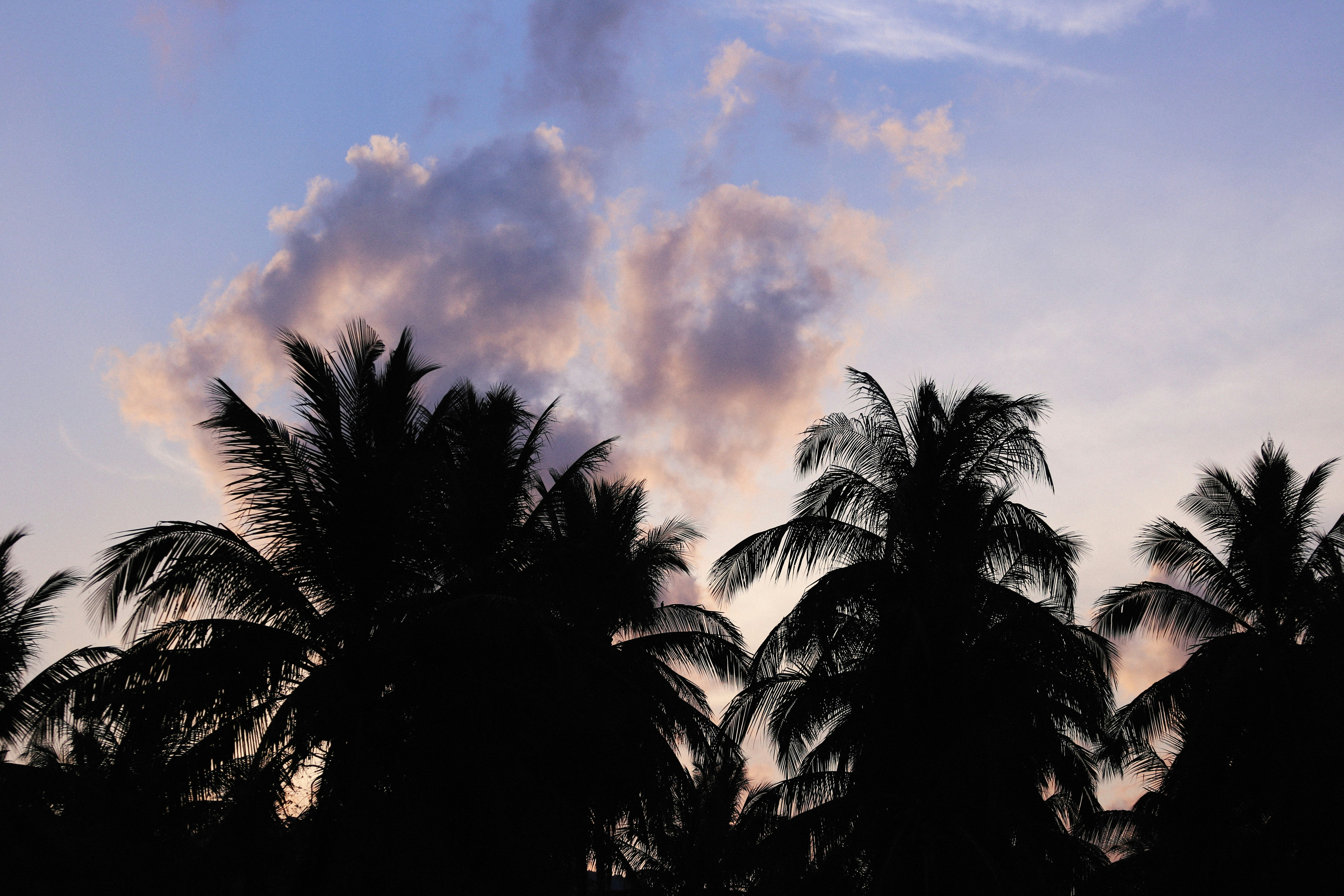 Photo by alexeydemidov