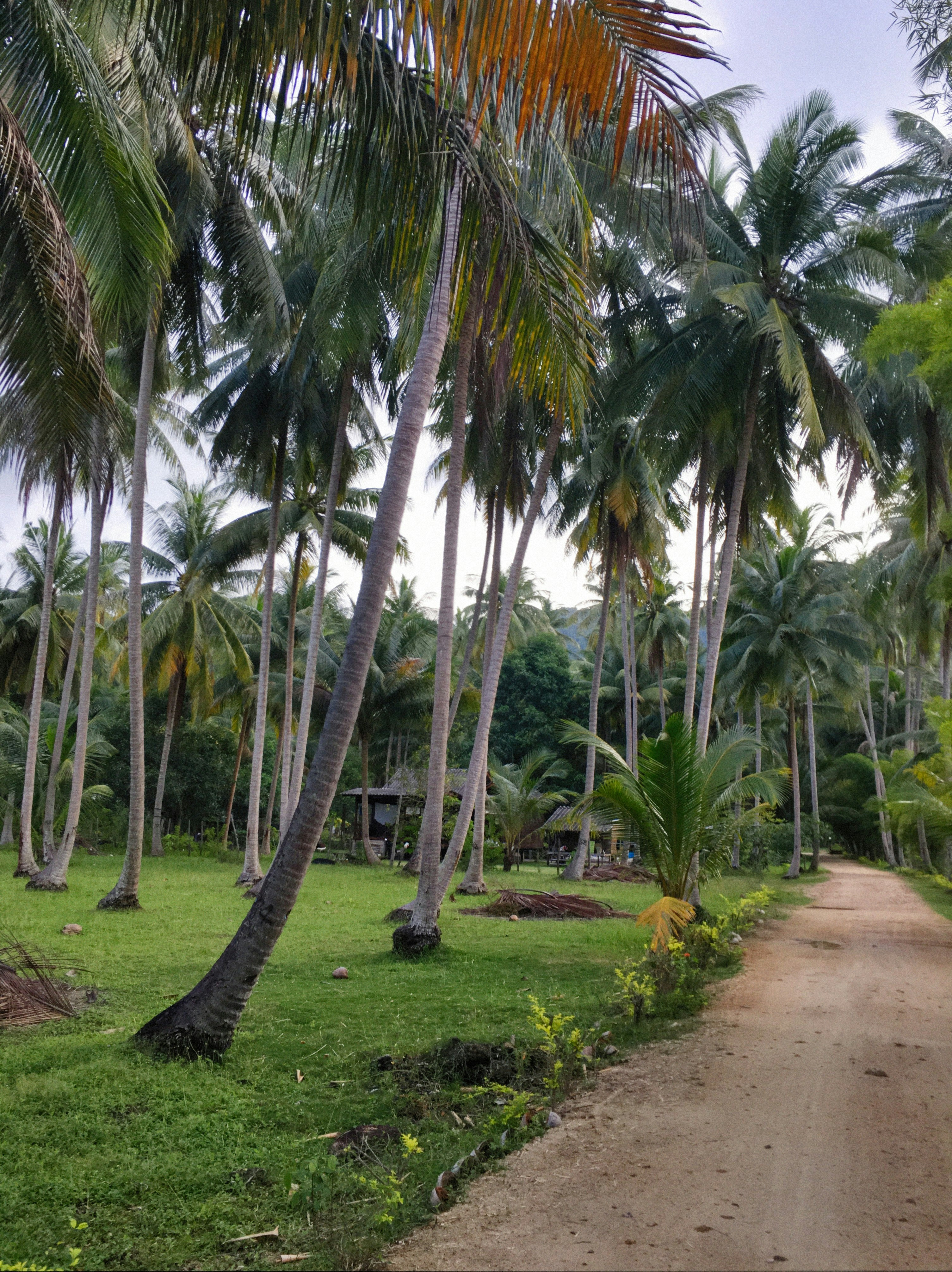 Photo by alexeydemidov