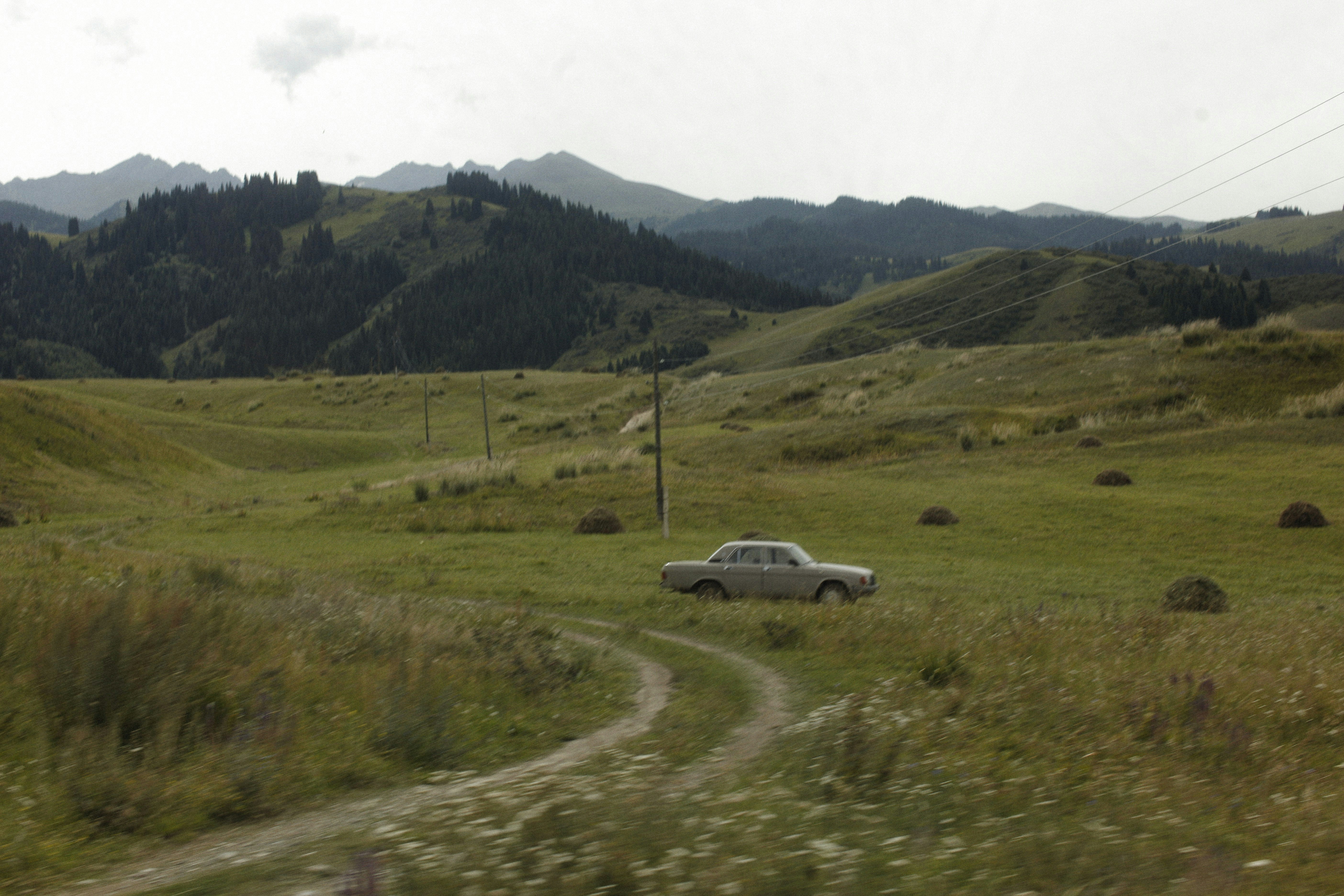 Photo by alexeydemidov