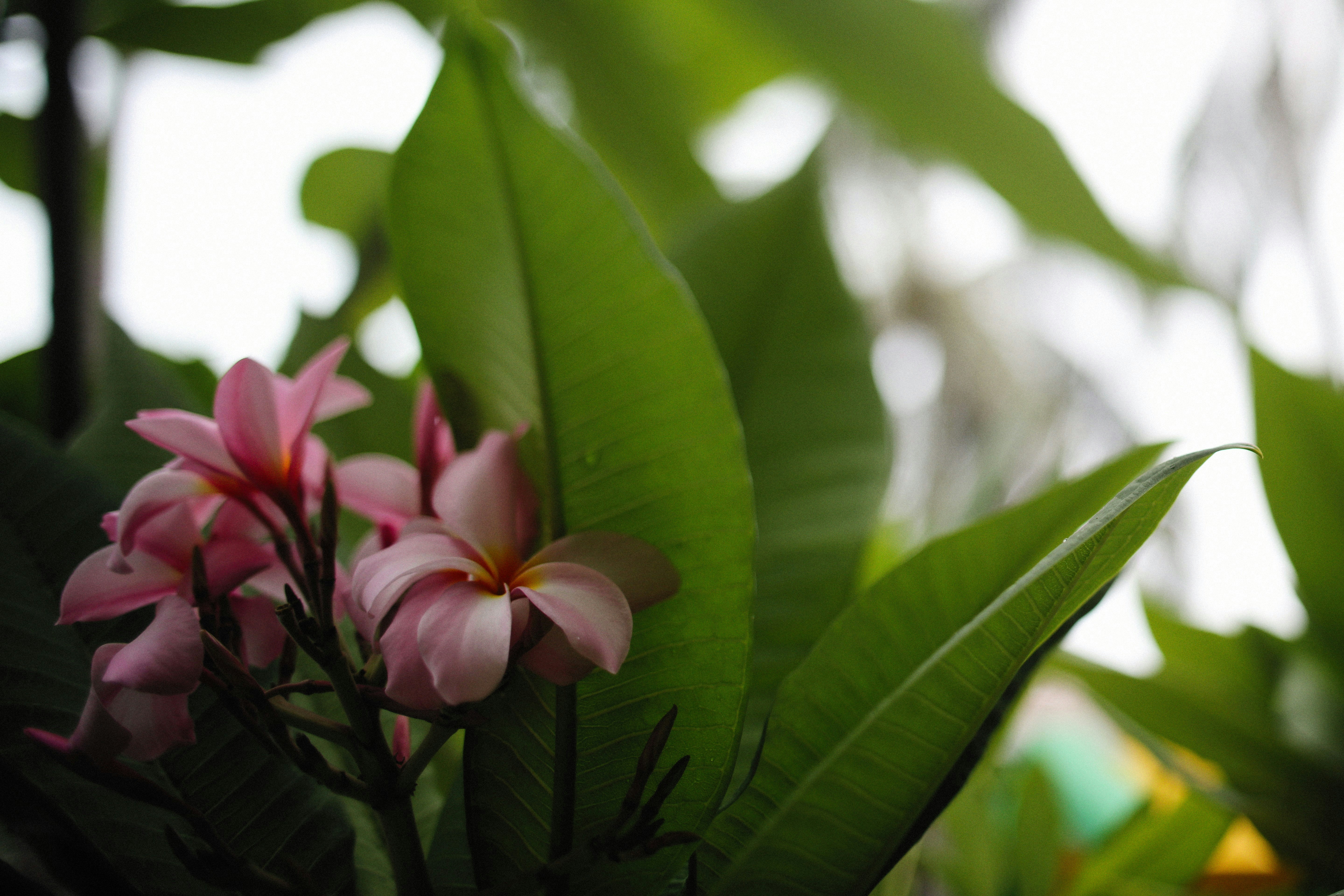 Photo by alexeydemidov